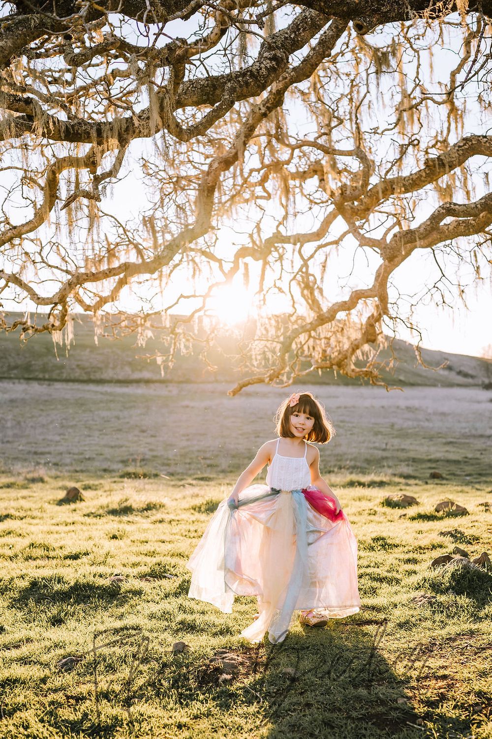 Sonoma County maternity photography session with beautiful pregnant mother, father, daughter, son at sunset
