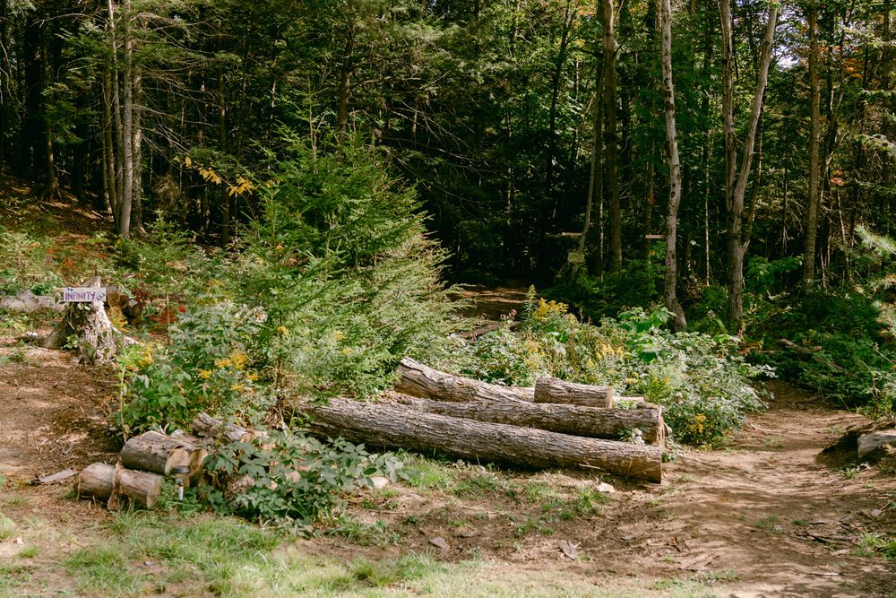 Vermont Forest Trail