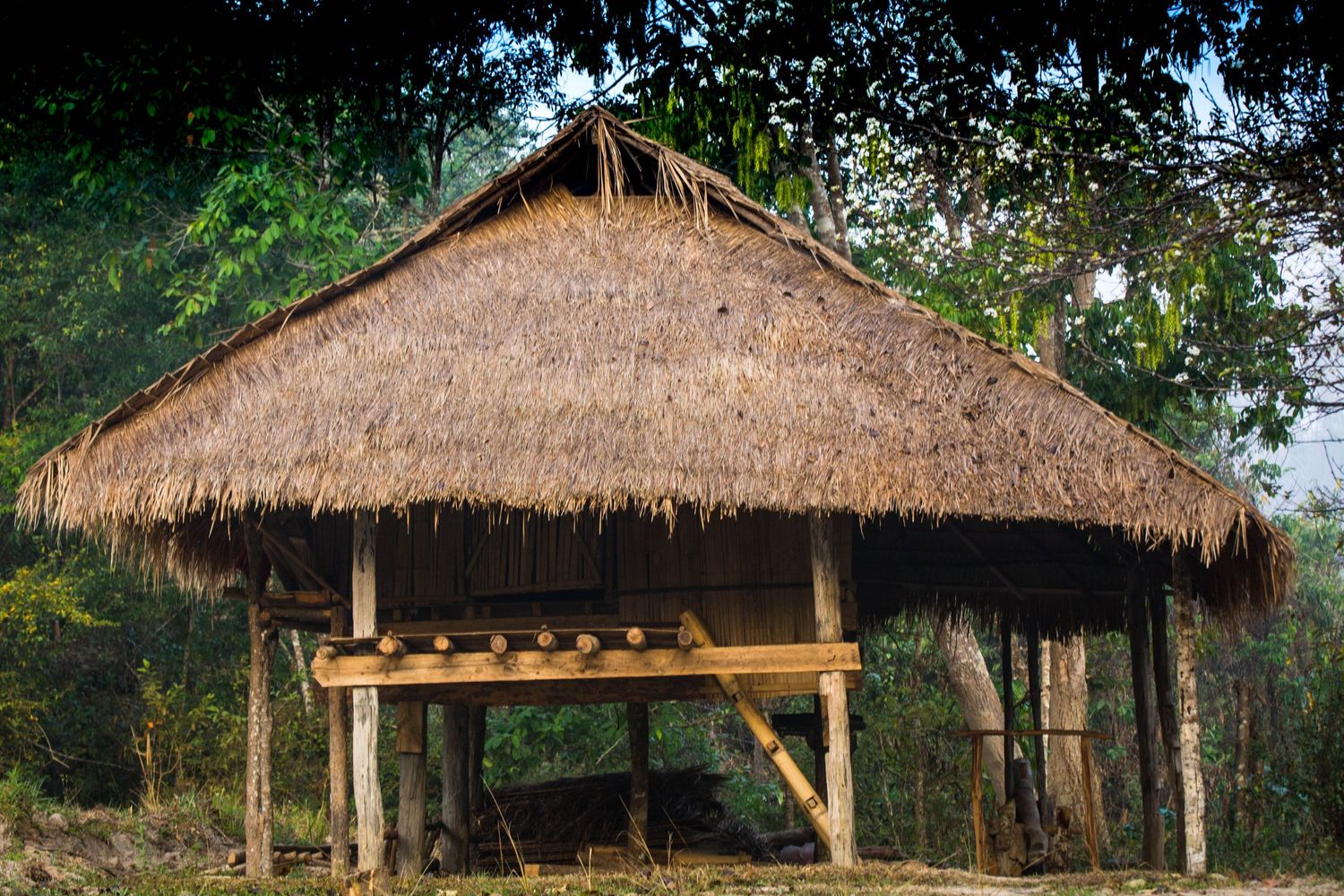 Akha high (raised) house constructed of logs, bamboo, and thatch