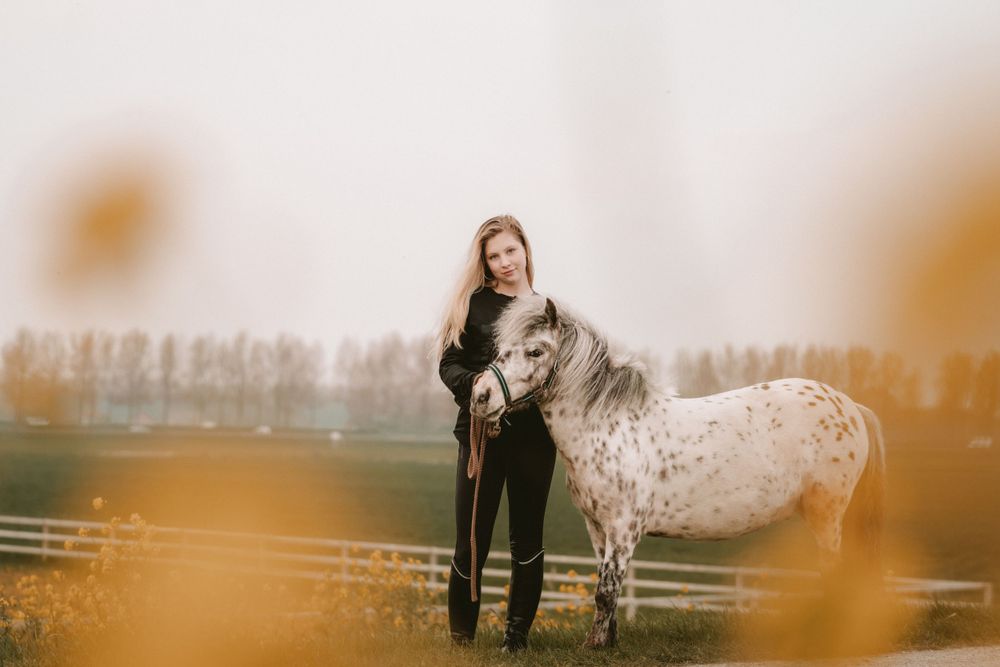 paarden foto's