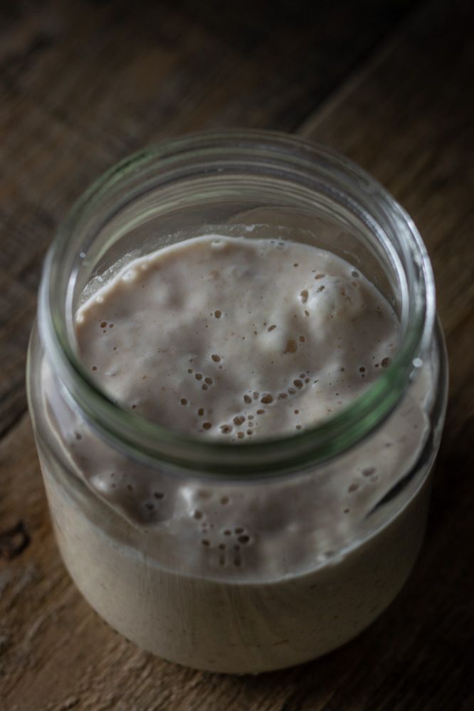 Active Sourdough Starter - Photo by © Reka Csulak