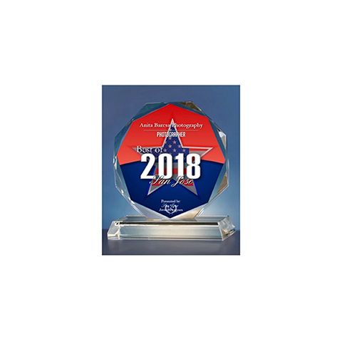 Anita Barcsa Photography Voted Best Family Photographer in San Jose