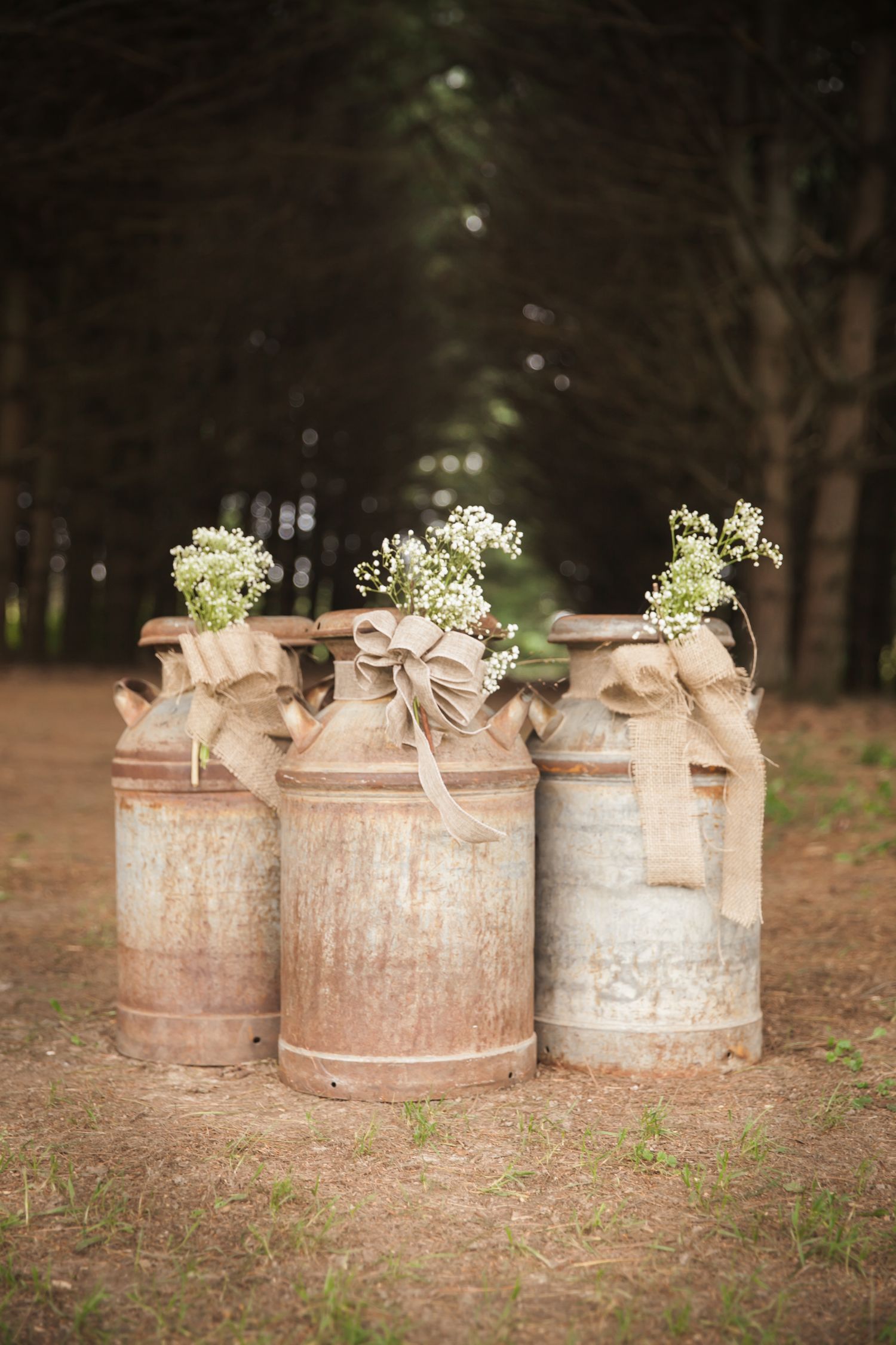 Dixon IL Wedding Photographer