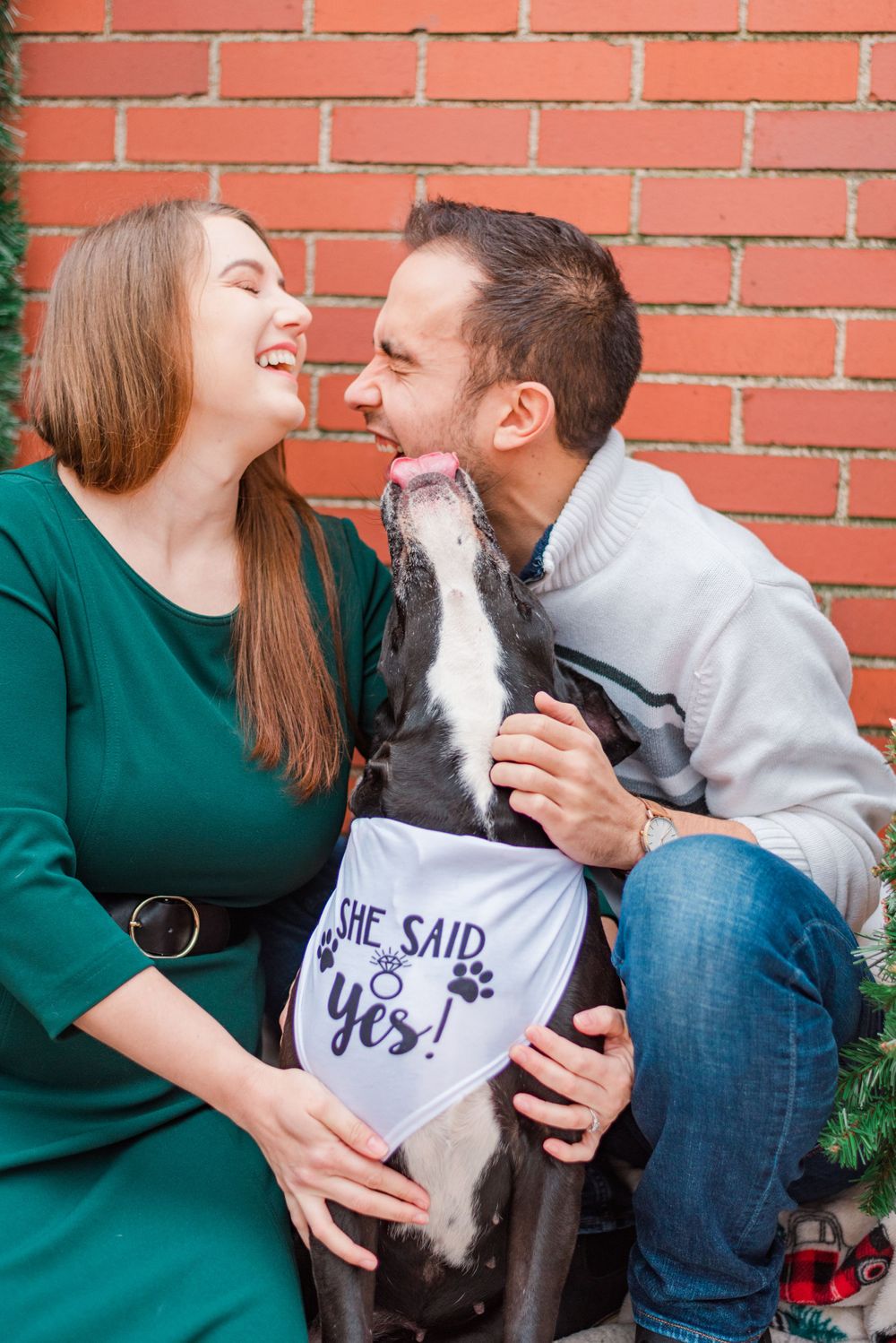 Dog with she said yes bandana in Holiday Christmas shoot with surprise proposal in Pittsburgh, Pennsylvania
