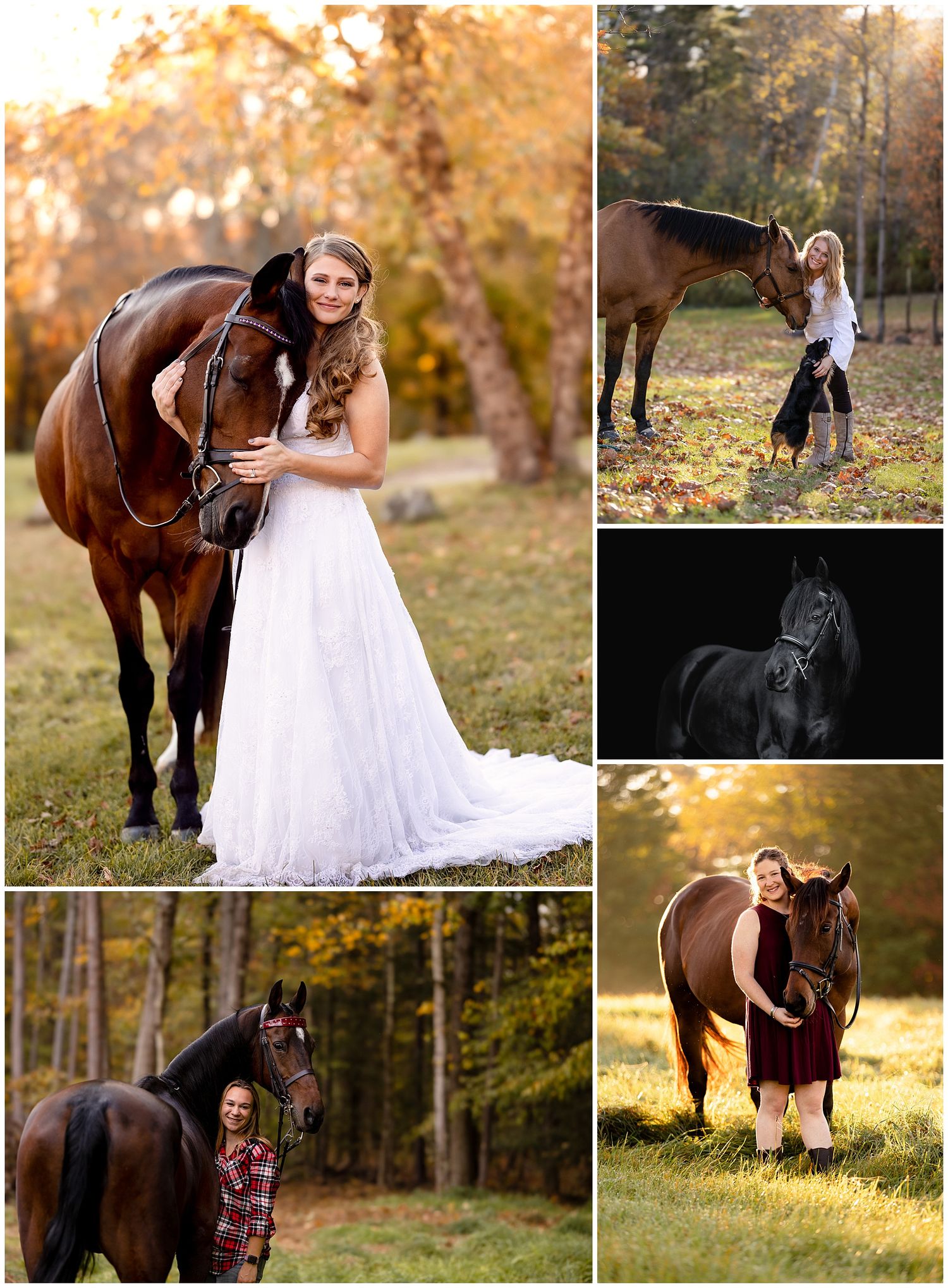 Equestrian Photoshoots New England Fall 2021