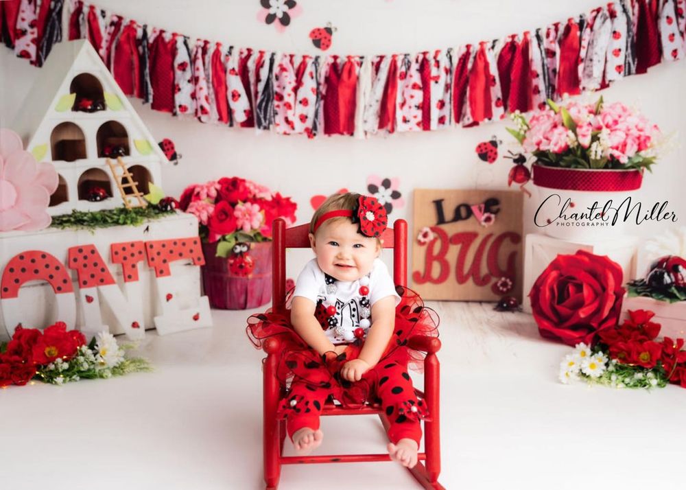 lady bug cake smash