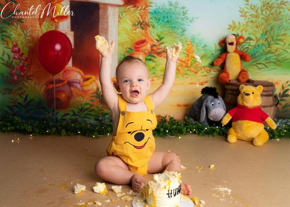 Winnie the Pooh cake smash