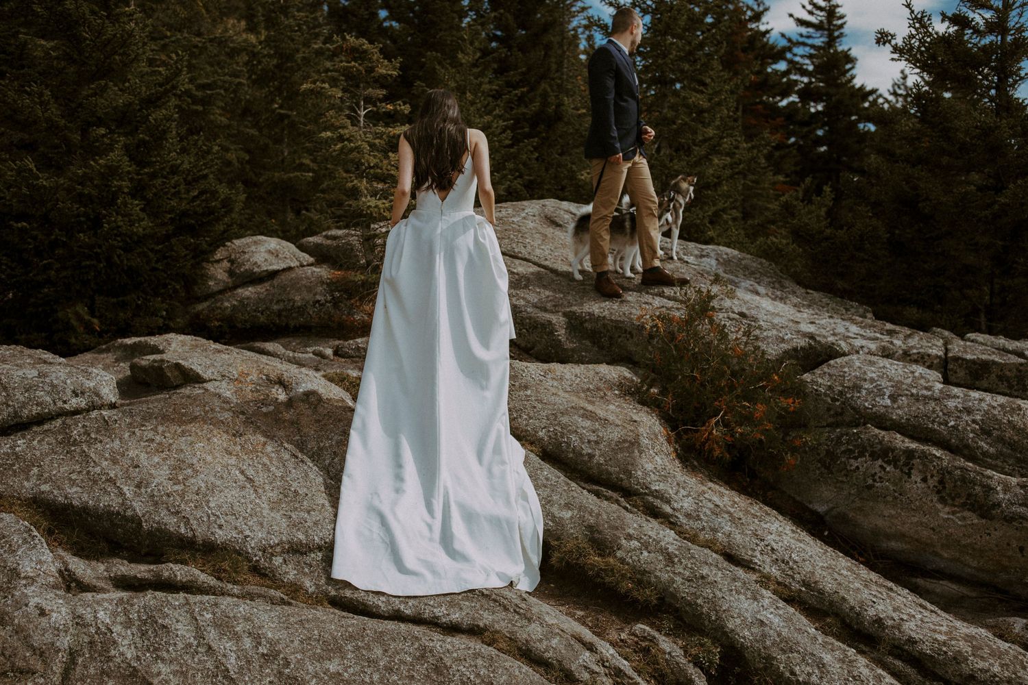 bride and groom hiking a mountain on their elopement wedding day with their two dogs, in quebec, canada