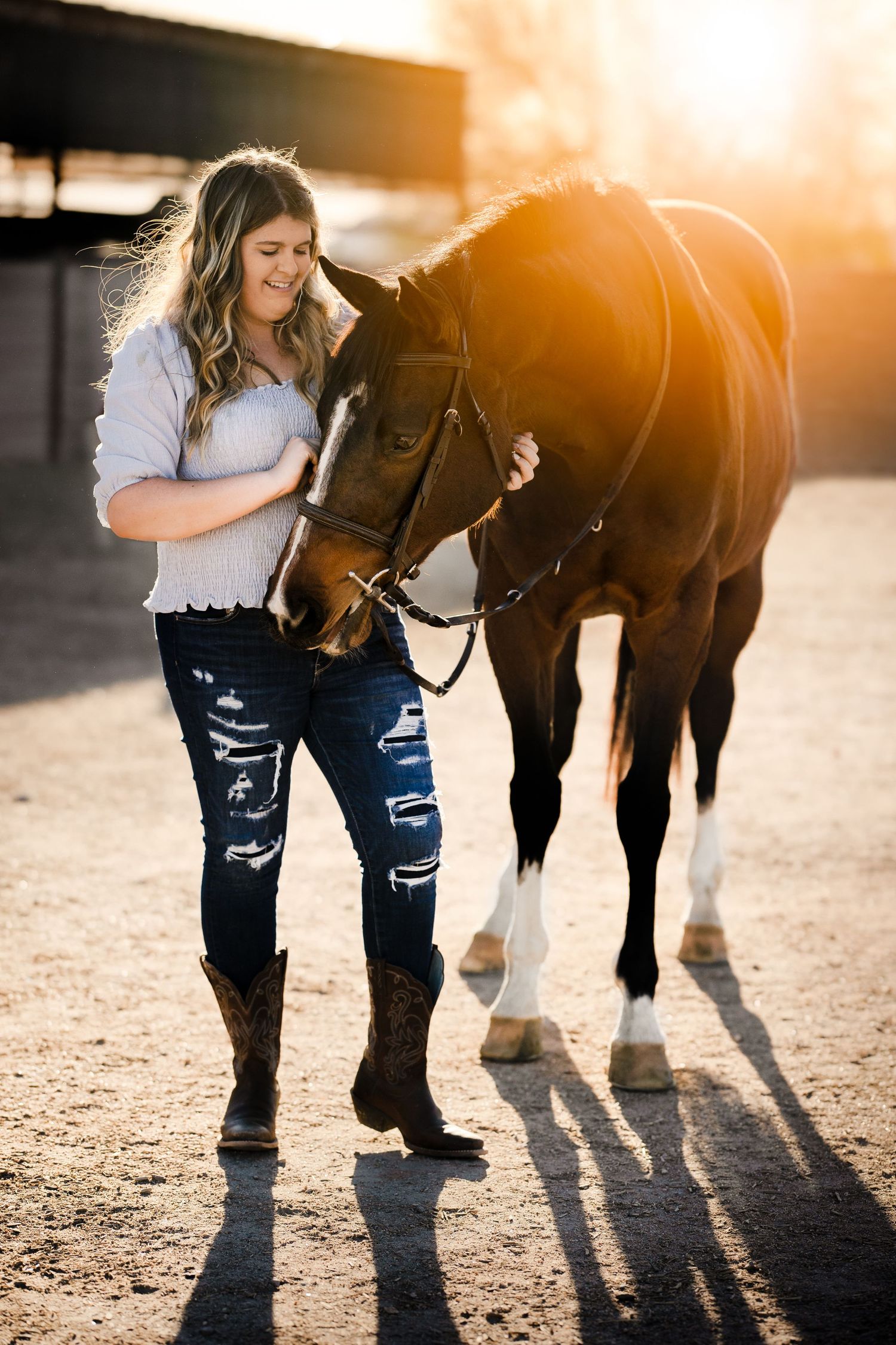 horse and rider golden hour sunset portraits senior photos event rider equestrian