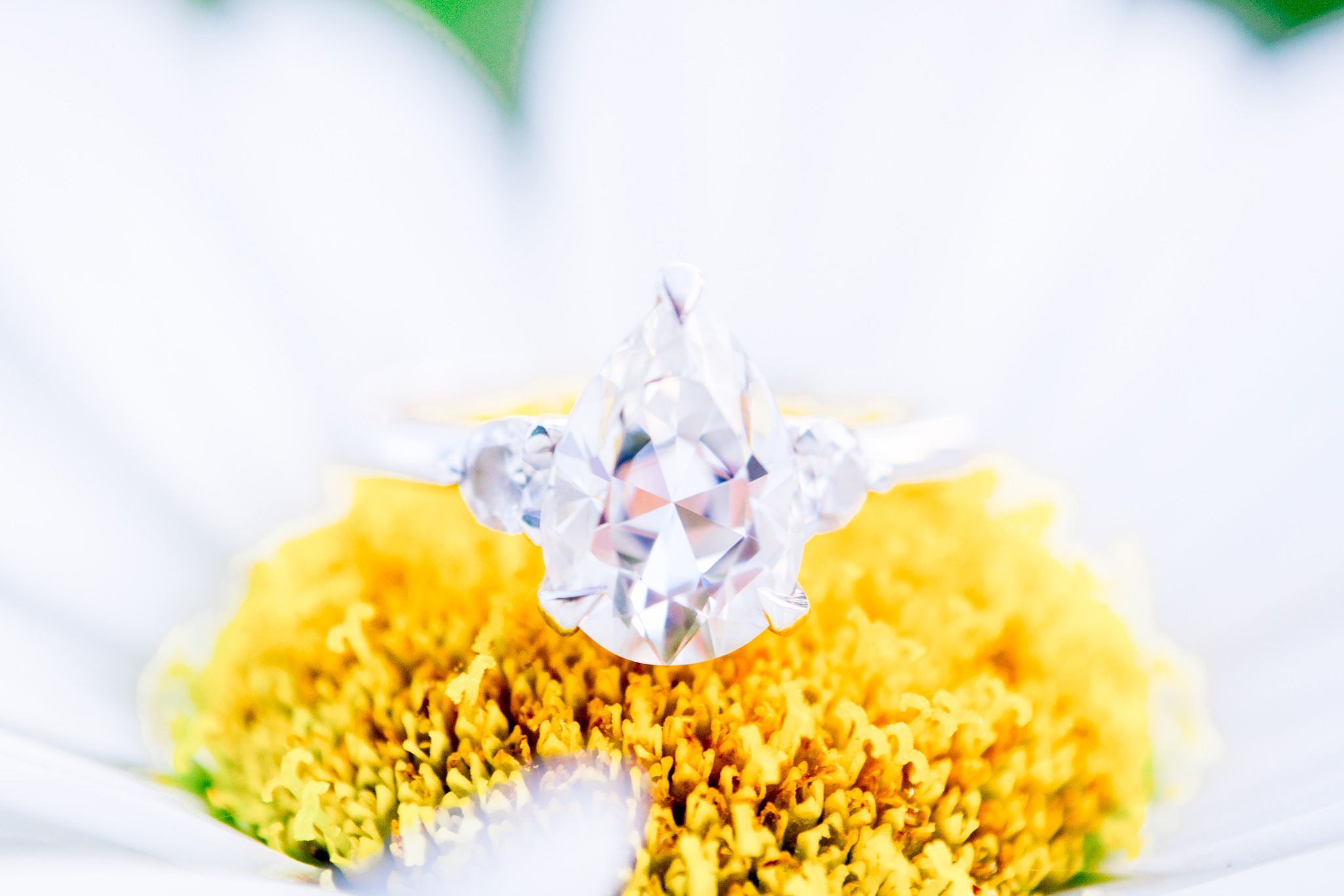 pear cut diamond engagement ring on daisy