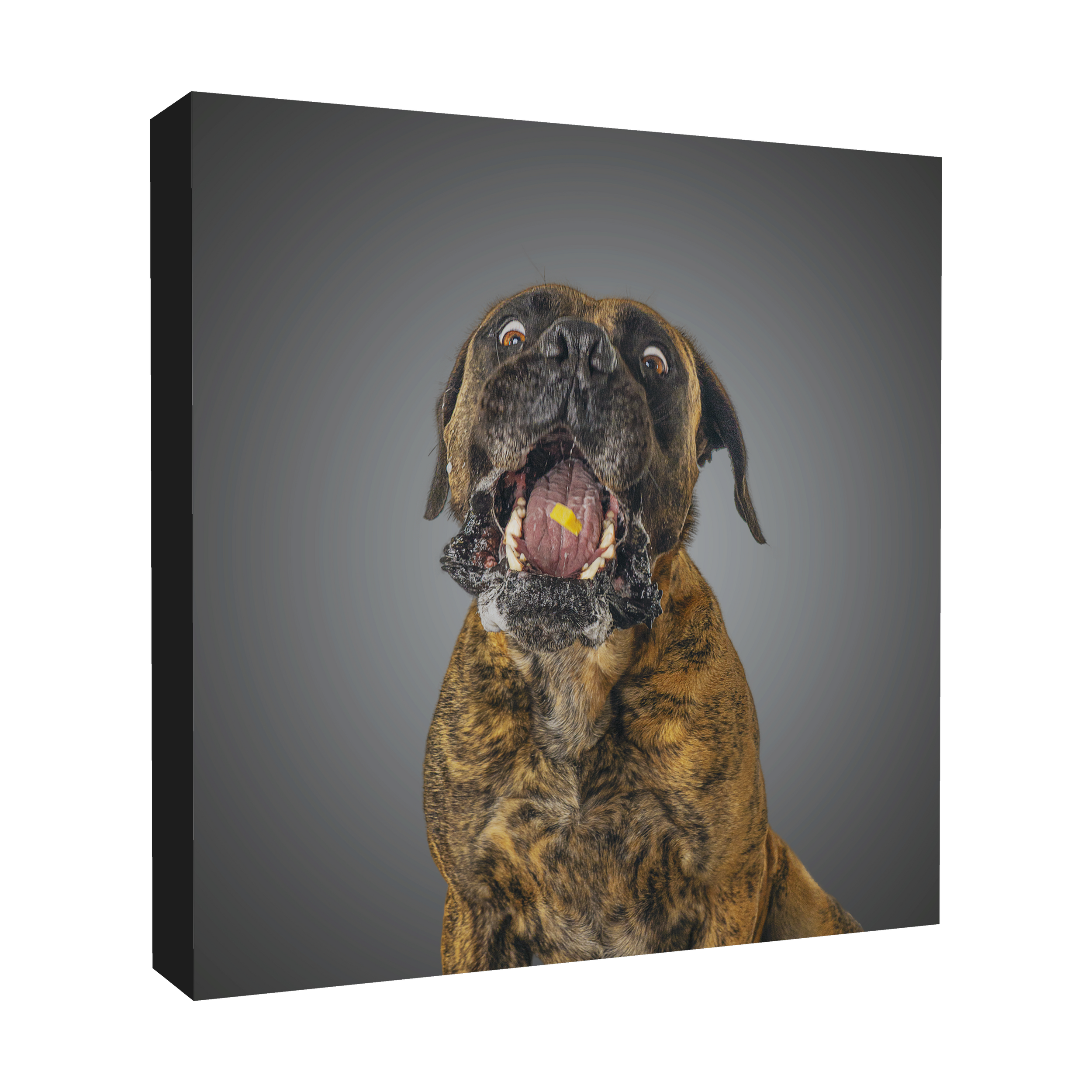 cheap-canvas-york-yorkshire