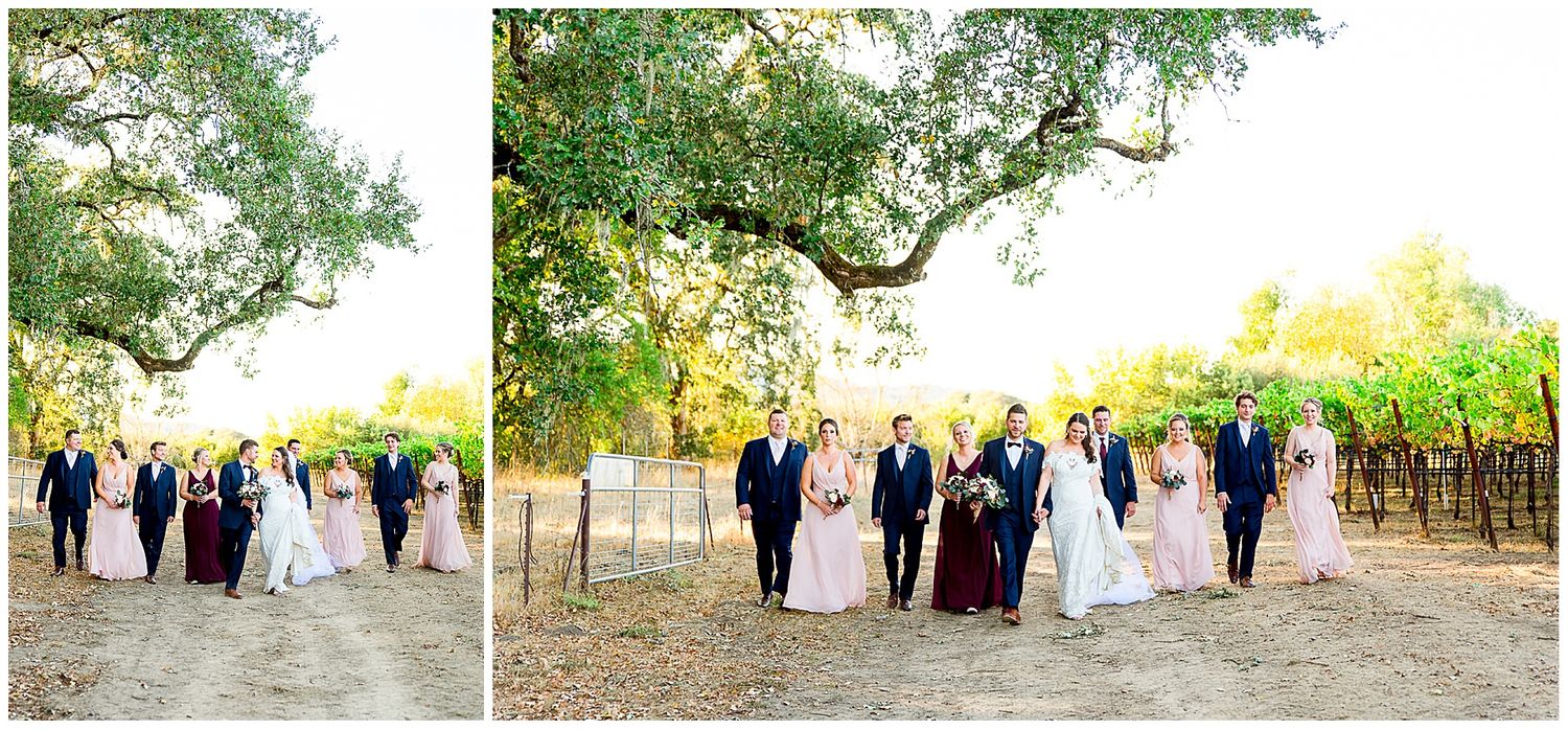 blush and navy wedding party walking through vineyard at Pennyroyal Farm at sunset in September