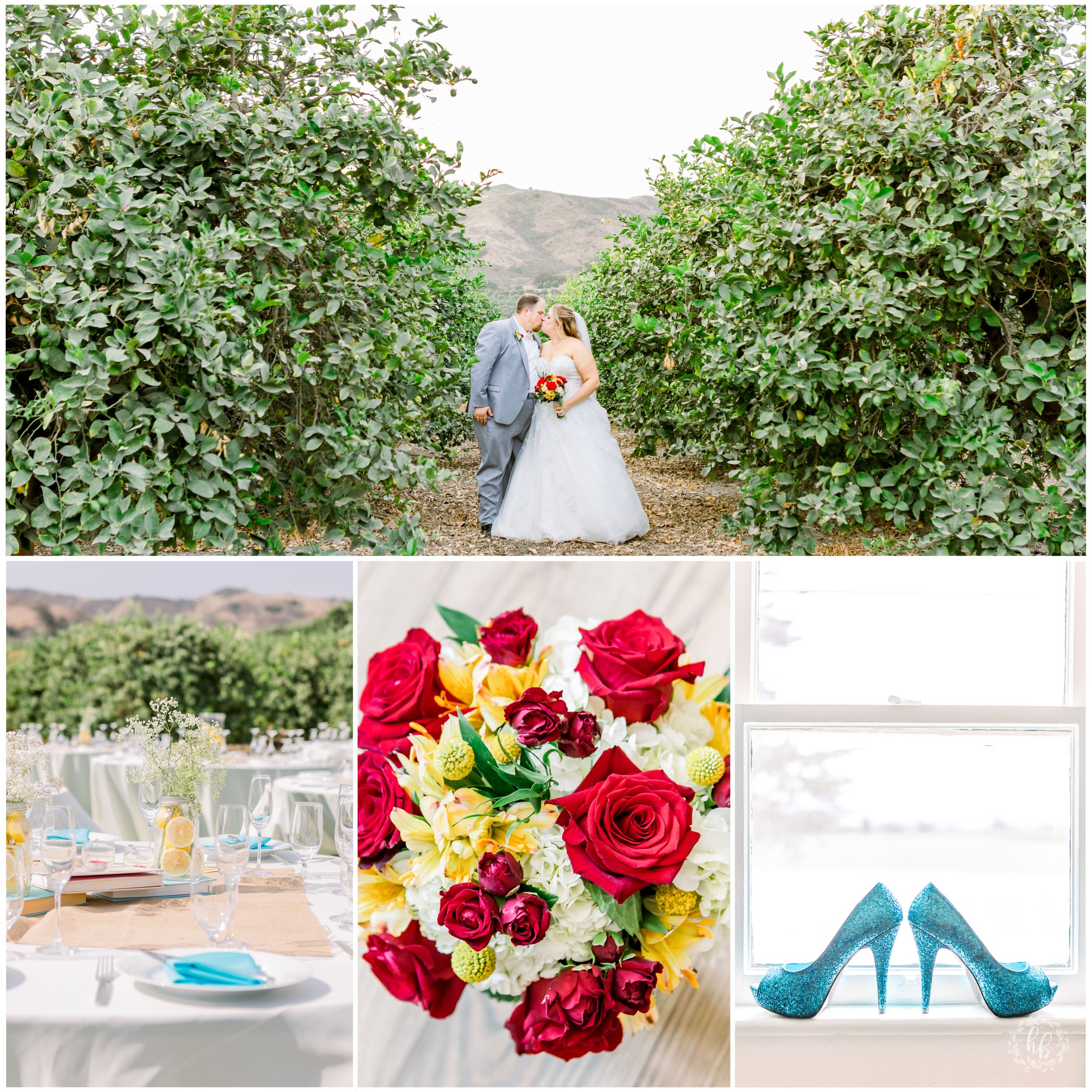 limoneira ranch wedding photos santa paula wedding wedding photographer
