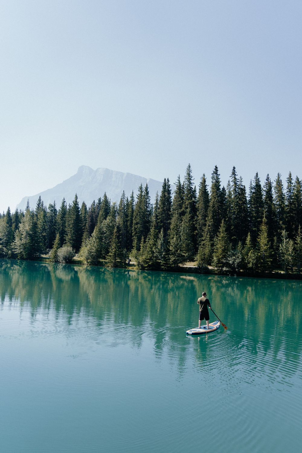 Scenic lakeside view with row of evergreen trees reflecting in turquoise water under blue sky.