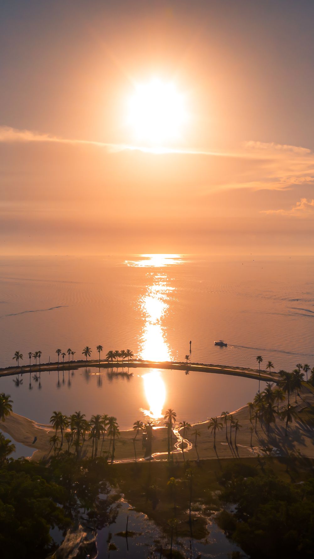 Vertical aerial view of a breathtaking ocean sunset reflecting over calm waters, with palm trees silhouetted along a curved shoreline.