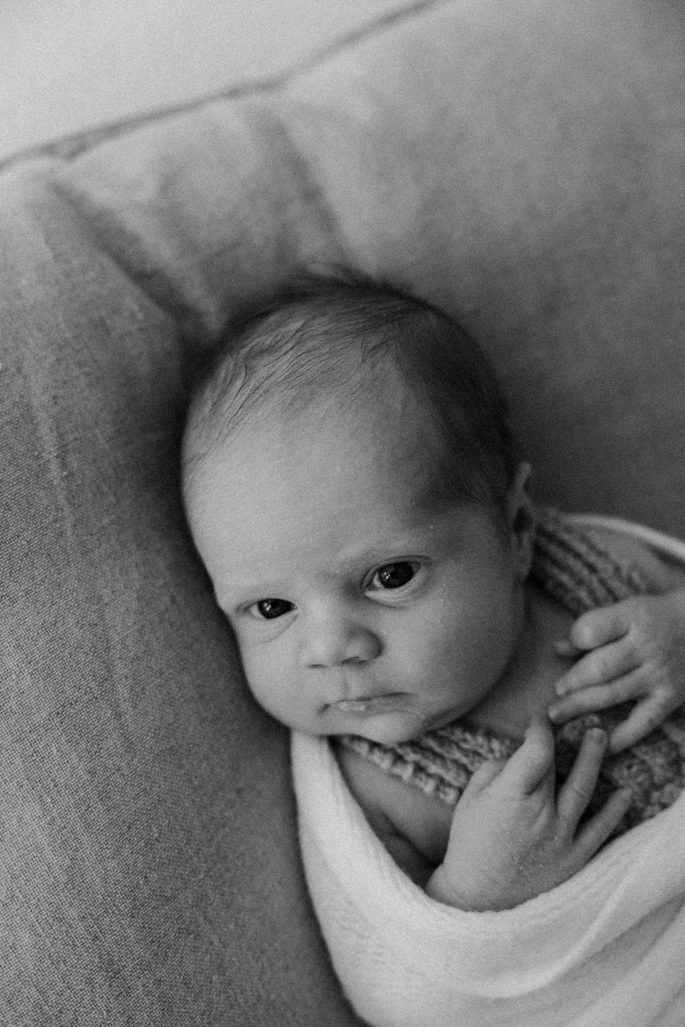 Black and white portrait of an alert newborn baby swaddled in white fabric resting on a soft pillow.