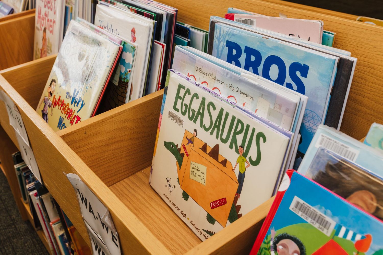 Children's books displayed in wooden shelves at a library, including titles like 'BROS' and 'Eggasaurus'.