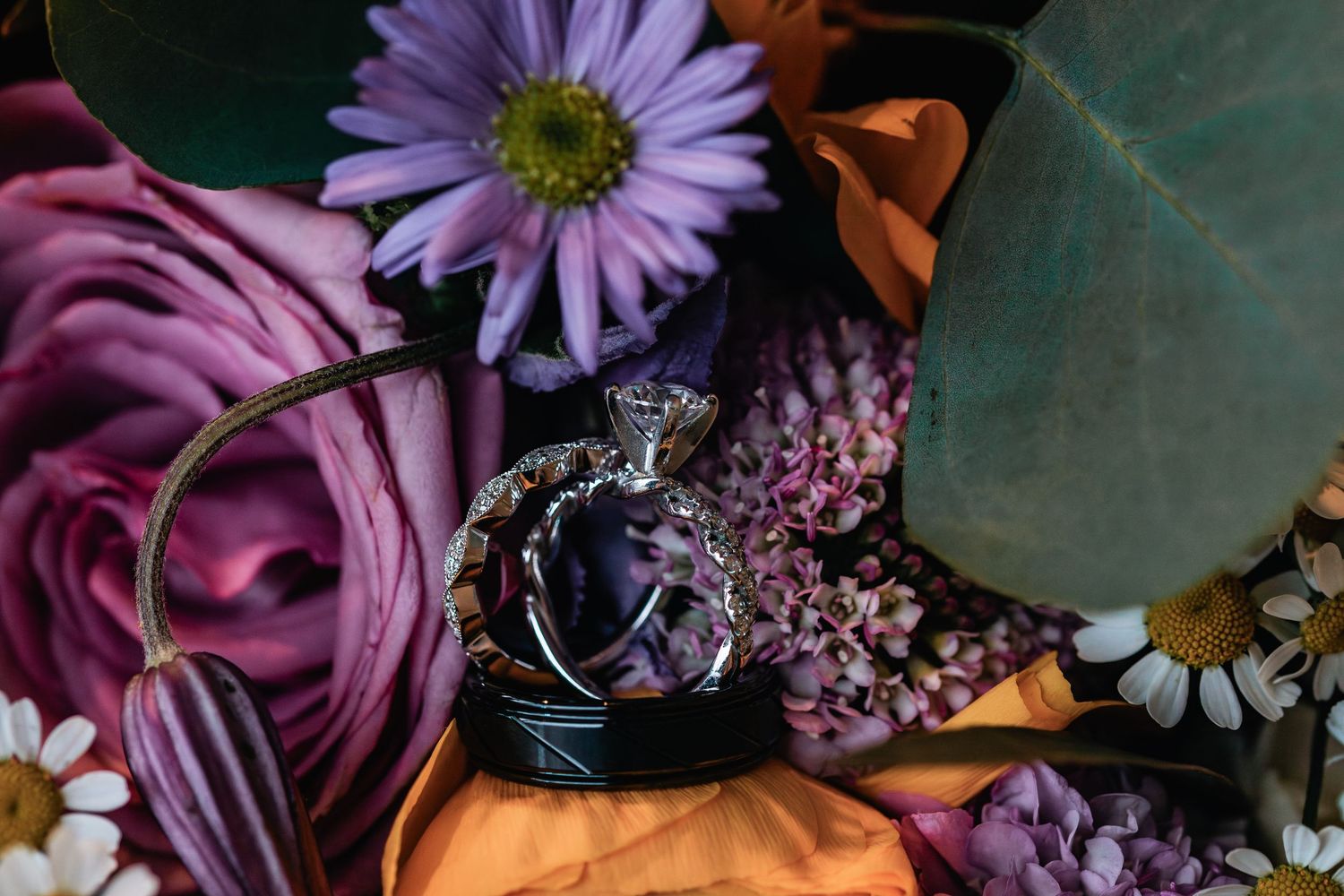 Wedding rings rest on purple roses and daisies in an elegant floral arrangement with romantic lighting.