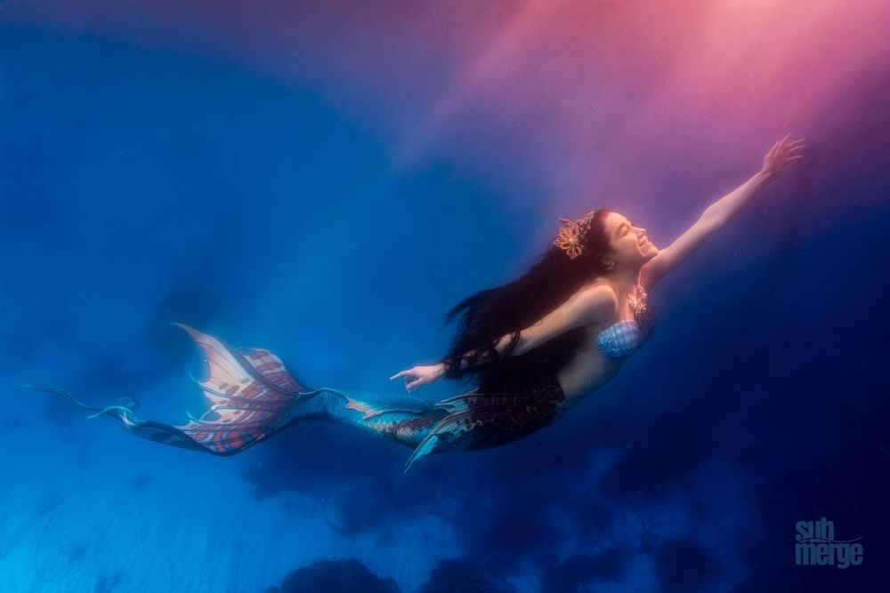 A dreamy underwater scene shows a graceful figure floating in blue water alongside a sea turtle.