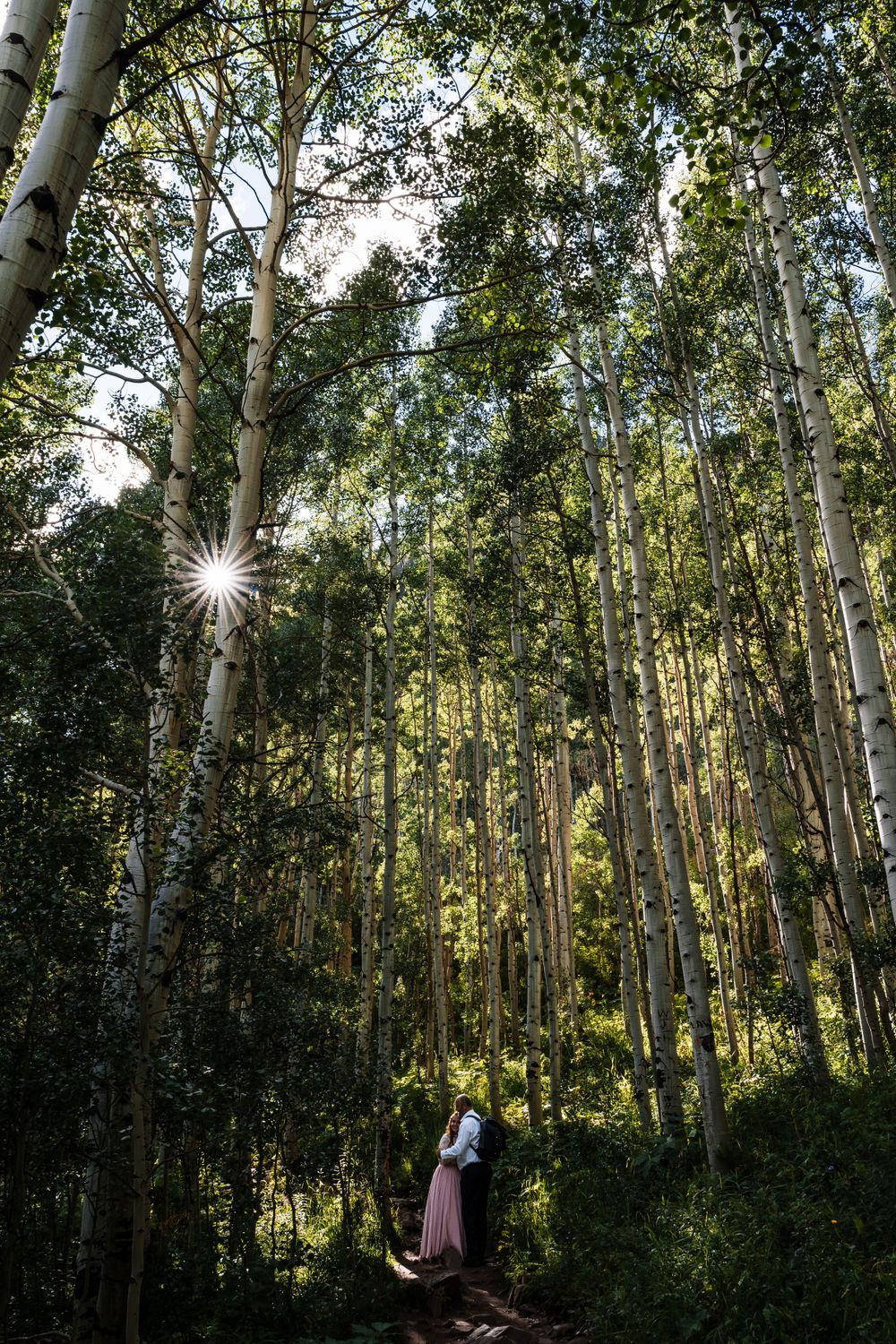 Sunlight streams through tall aspen trees in a forest with a figure in pink on the trail below.