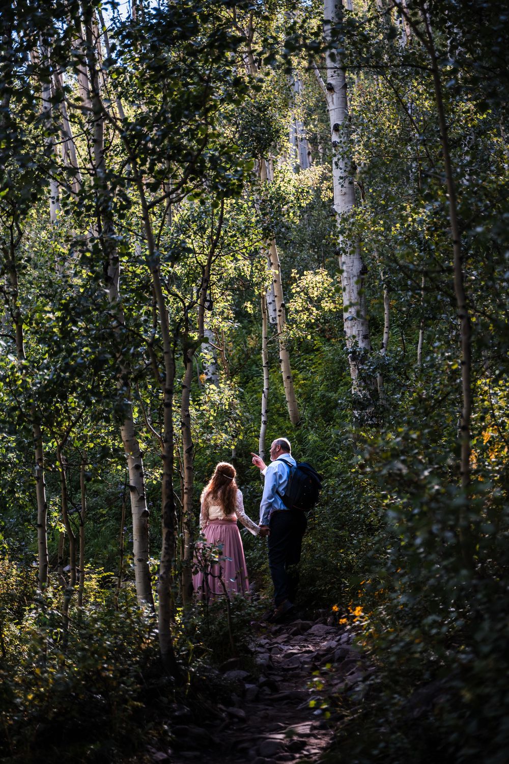 Hikers walking through a sunlit aspen grove on a mountain trail in late afternoon light.