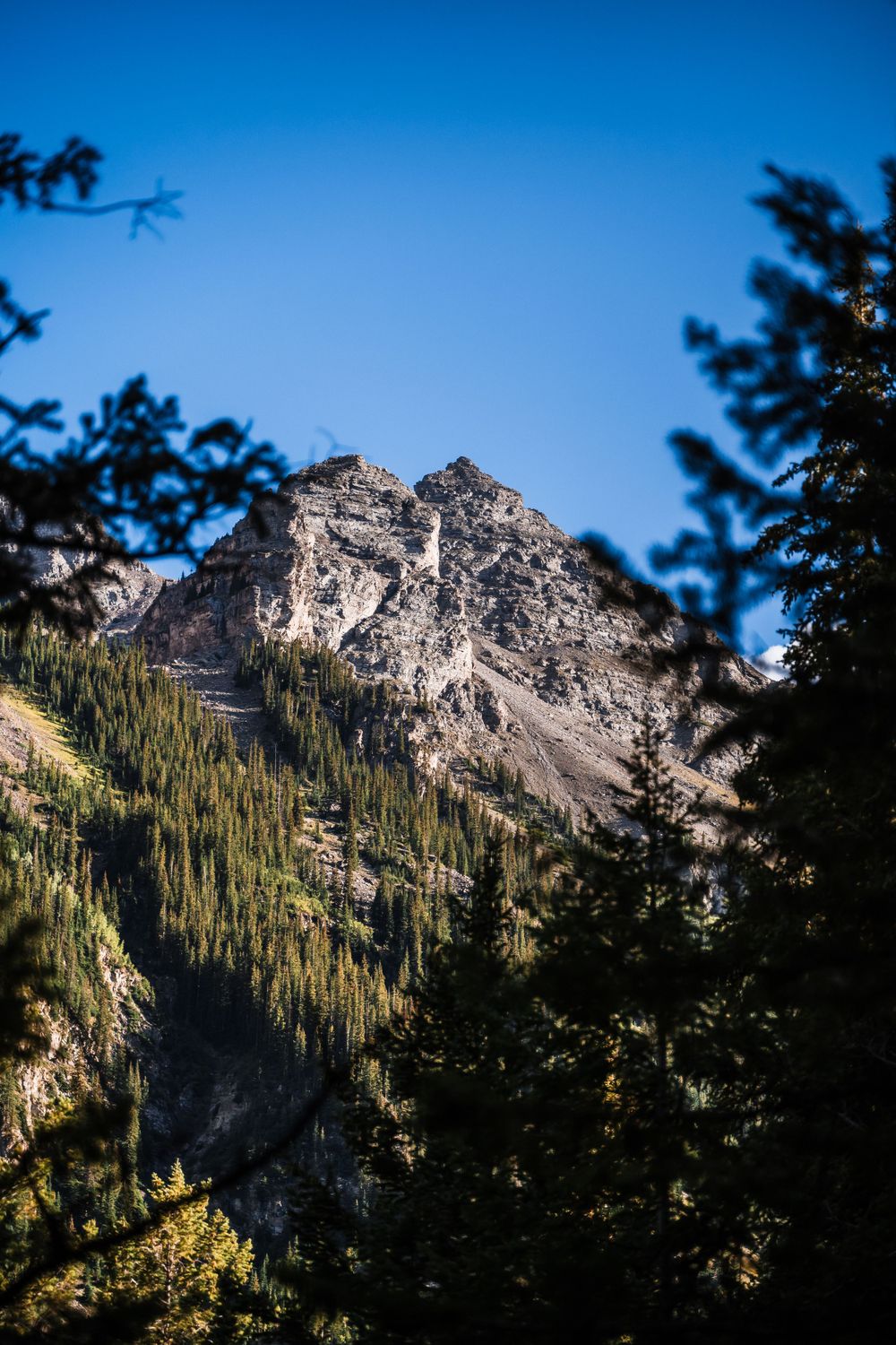Rugged mountain peak rises above evergreen forest against bright blue sky in wilderness landscape.