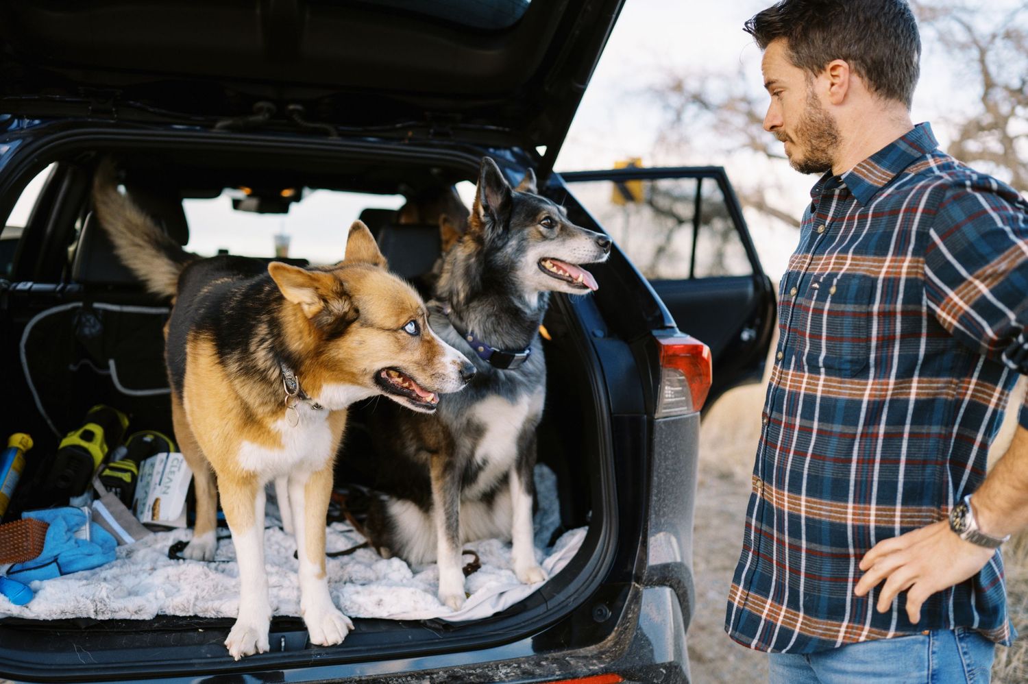 Two happy dogs sit in the open trunk of a car while someone stands nearby.