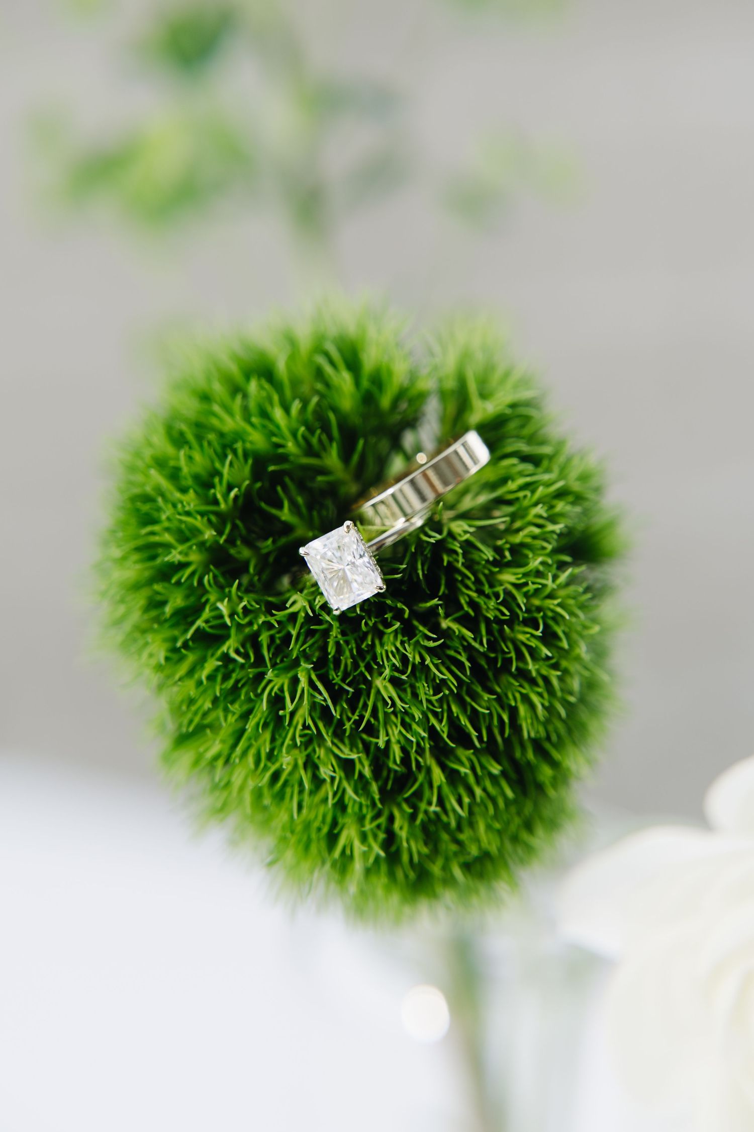 Wedding rings displayed on a spherical green moss decoration.
