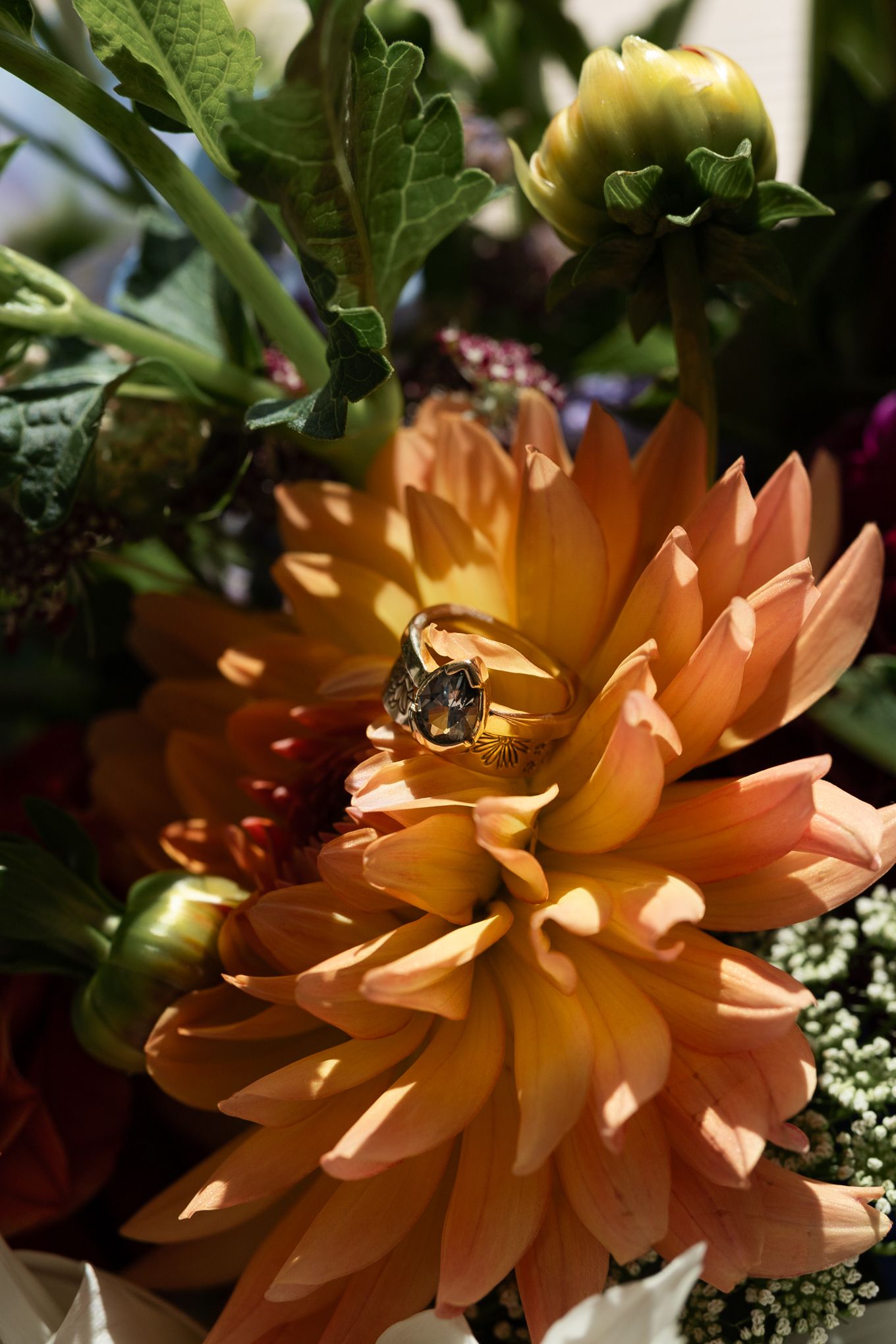 Wedding ring resting on a peach-colored dahlia flower with green foliage.