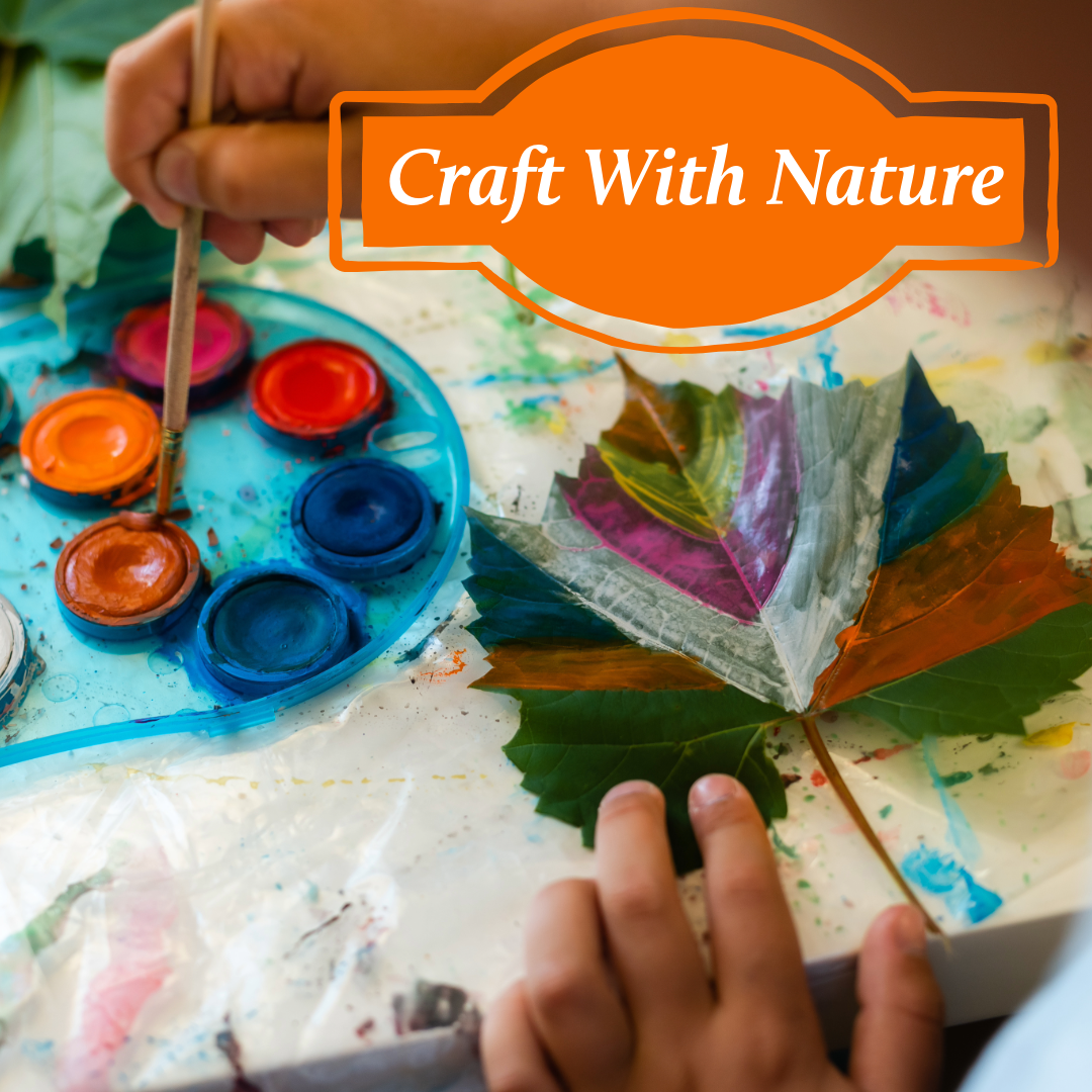 Colorful craft supplies with paints and nature elements arranged for creative DIY projects on a white surface.