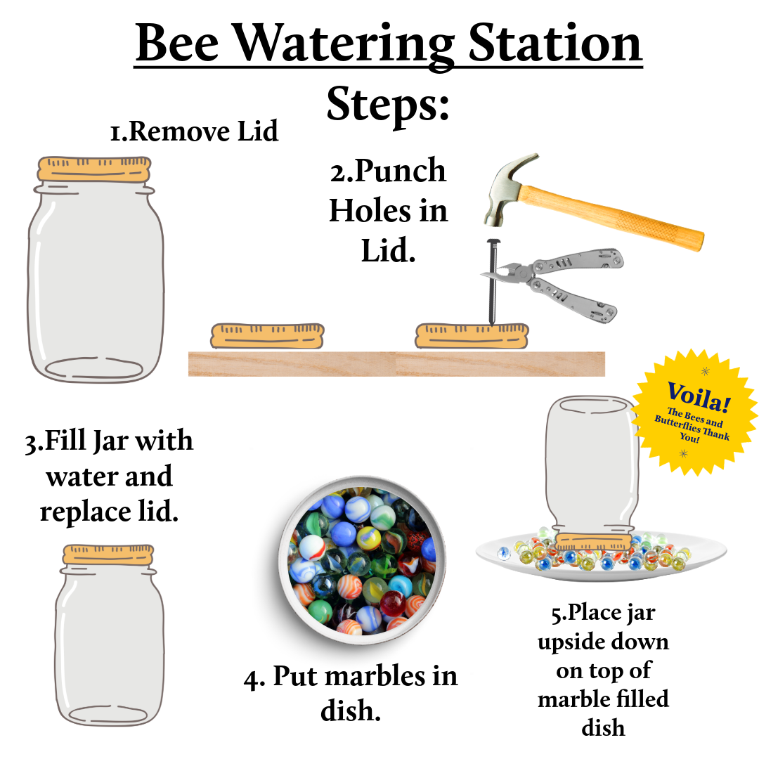 Step-by-step instructions showing how to create a bee watering station using a jar, marbles, and water in a dish.