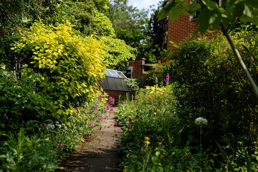 A winding garden path surrounded by lush green plants and yellow flowers leads through a tranquil outdoor space.