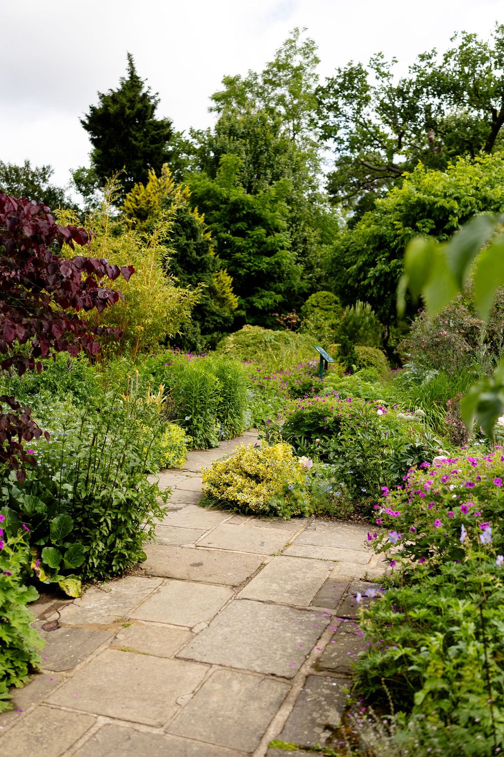 A winding stone pathway through a lush English cottage garden with colorful flowers and diverse foliage.