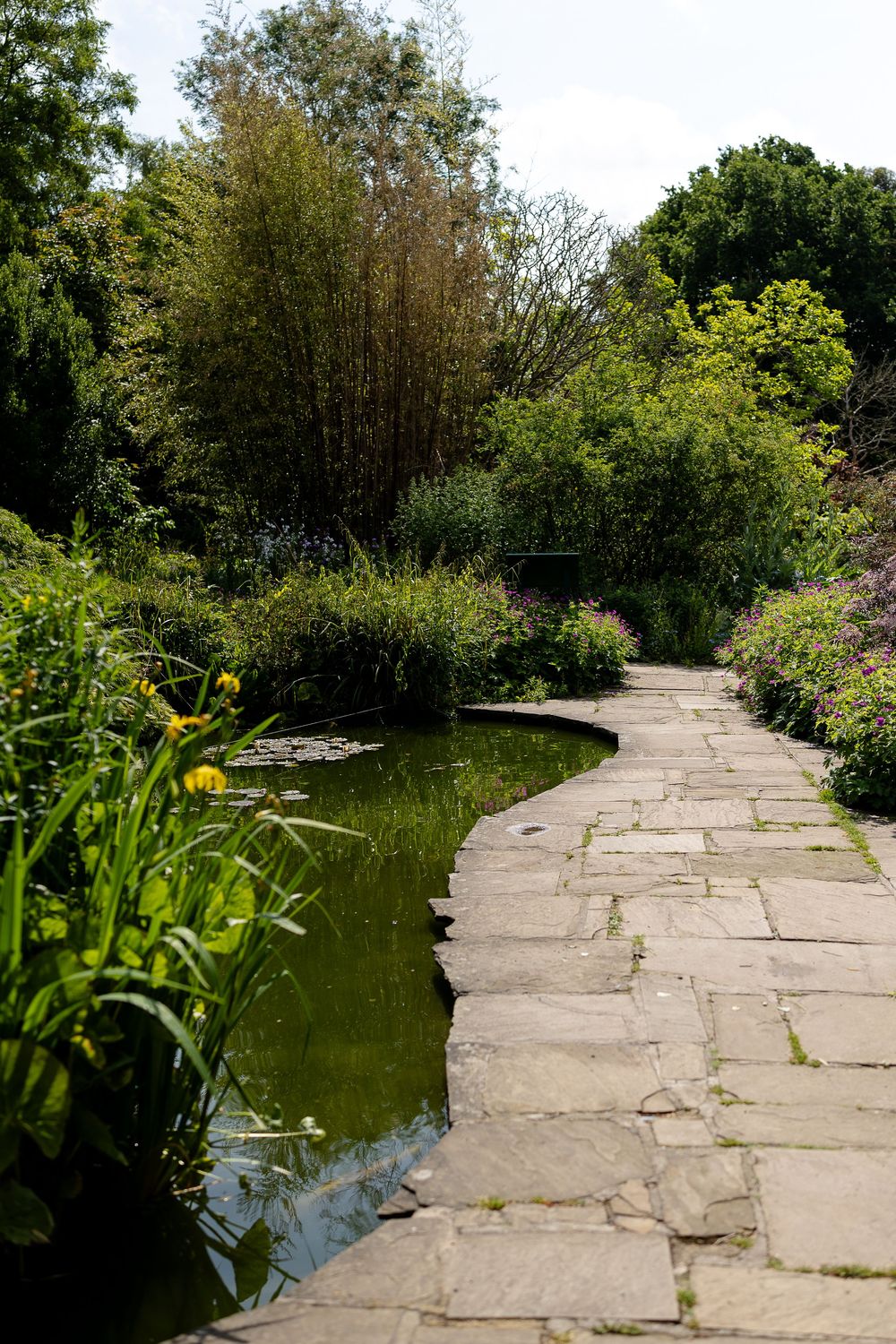 Stone pathway curves alongside a tranquil garden pond bordered by verdant plants and trees.