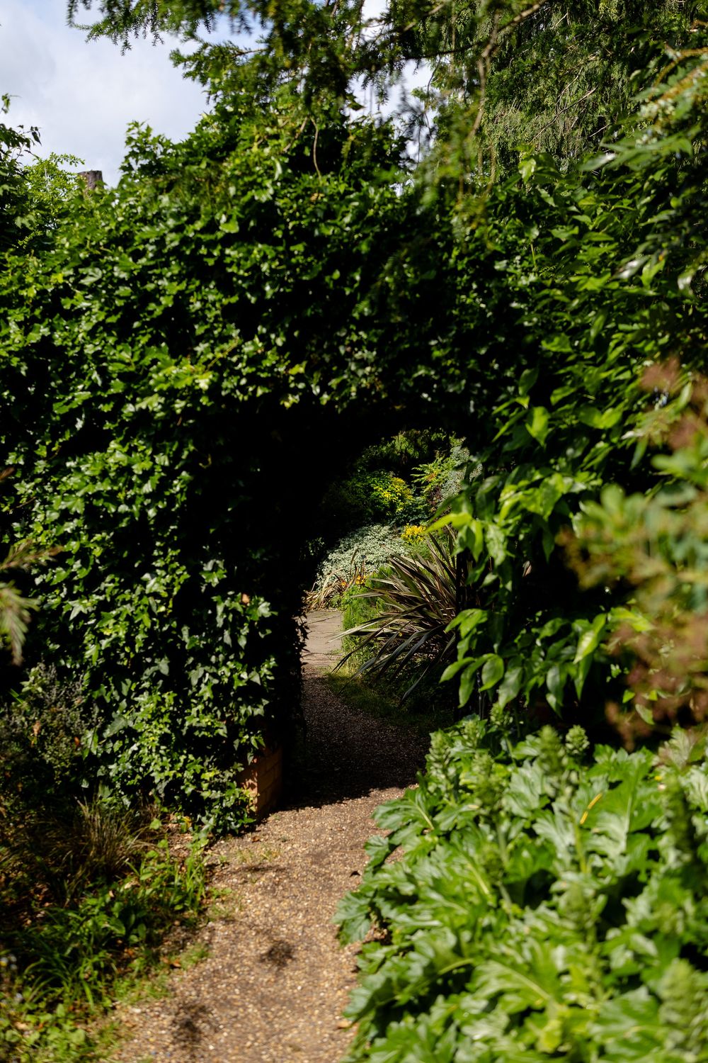 A winding dirt path curves through lush green foliage and overhanging tree branches in a garden setting.