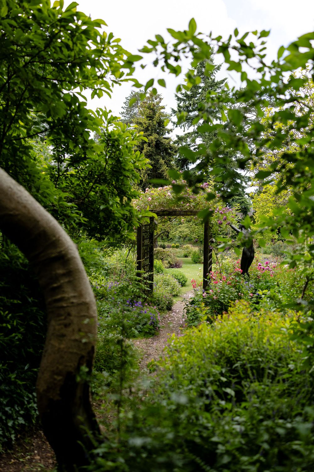A winding garden path leads through lush greenery to a wooden archway surrounded by blooming flowers and tall trees.