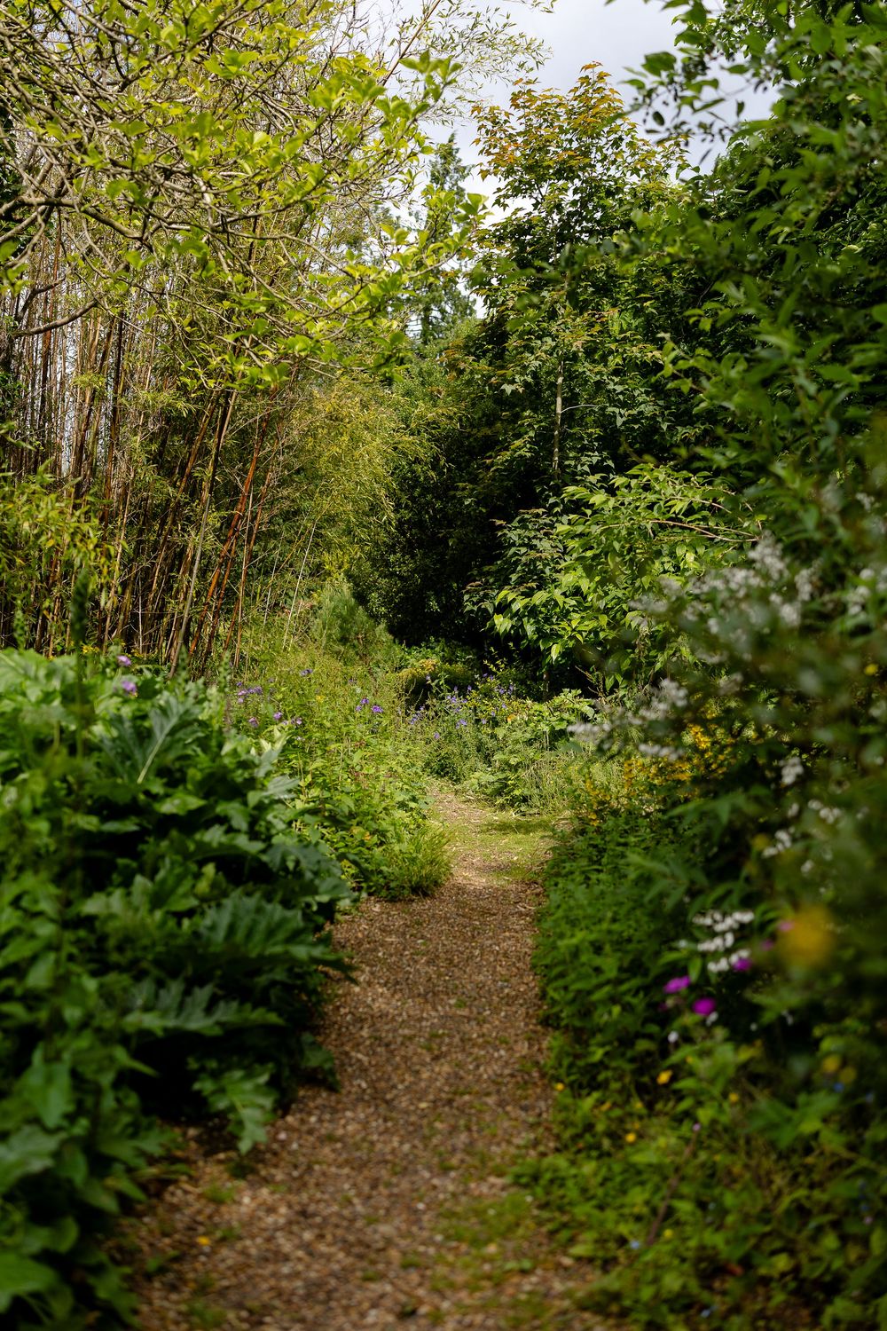 A winding dirt path leads through a lush green garden with flowering plants and trees creating a natural tunnel effect.