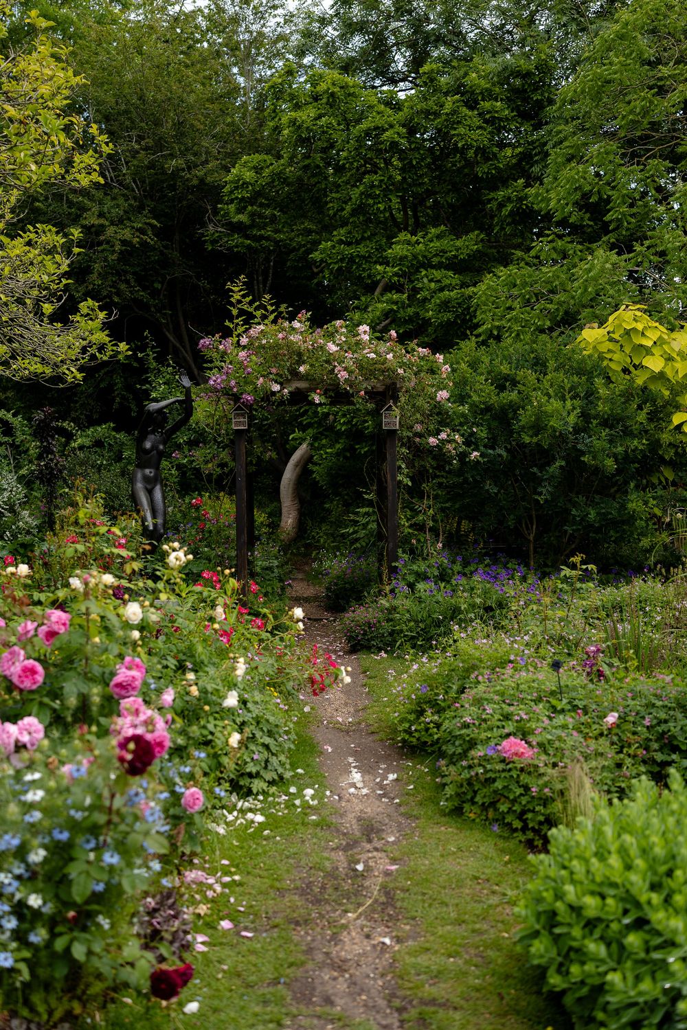 A winding garden path lined with blooming pink and white hollyhock flowers surrounded by lush green foliage.