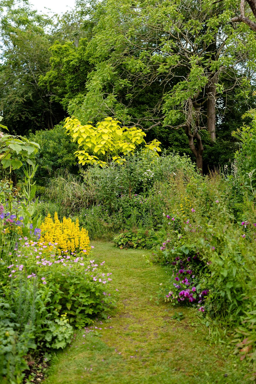 Winding grass path through a cottage garden with vibrant yellow flowers and mixed perennial borders.