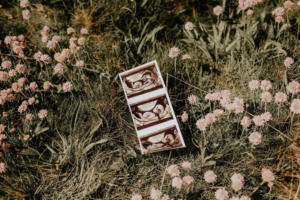 Photo strip with three candid images lying on grass among pink wildflowers in a dreamy outdoor setting.