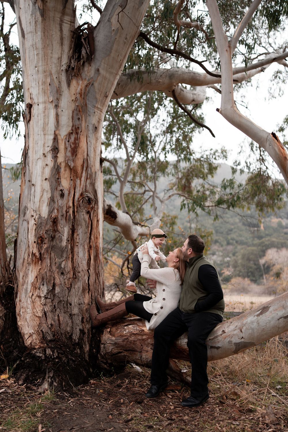 Family sitting together under large eucalyptus trees sharing intimate moments.