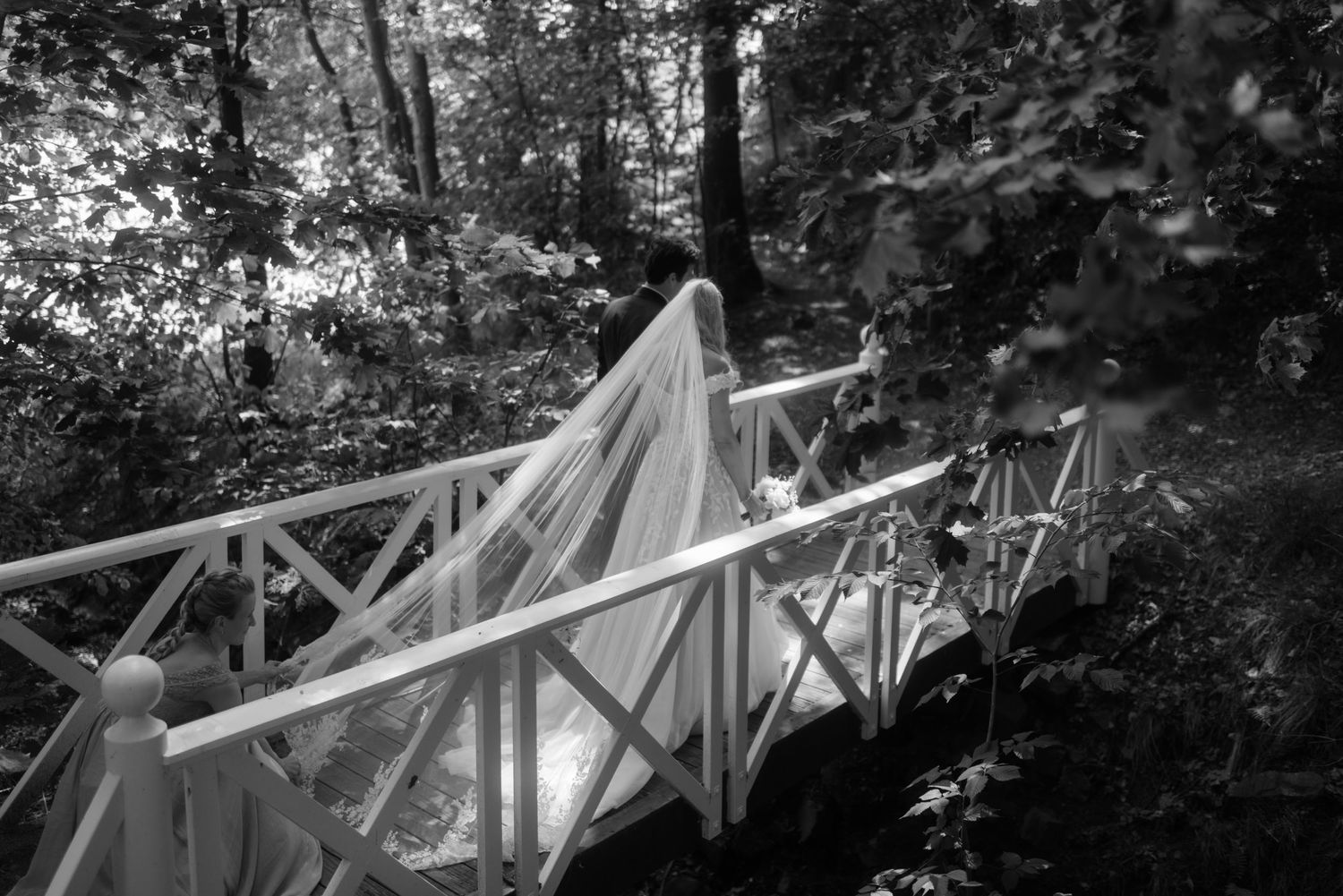 A white wooden bridge in a wooded forest area with natural sunlight filtering through the trees.