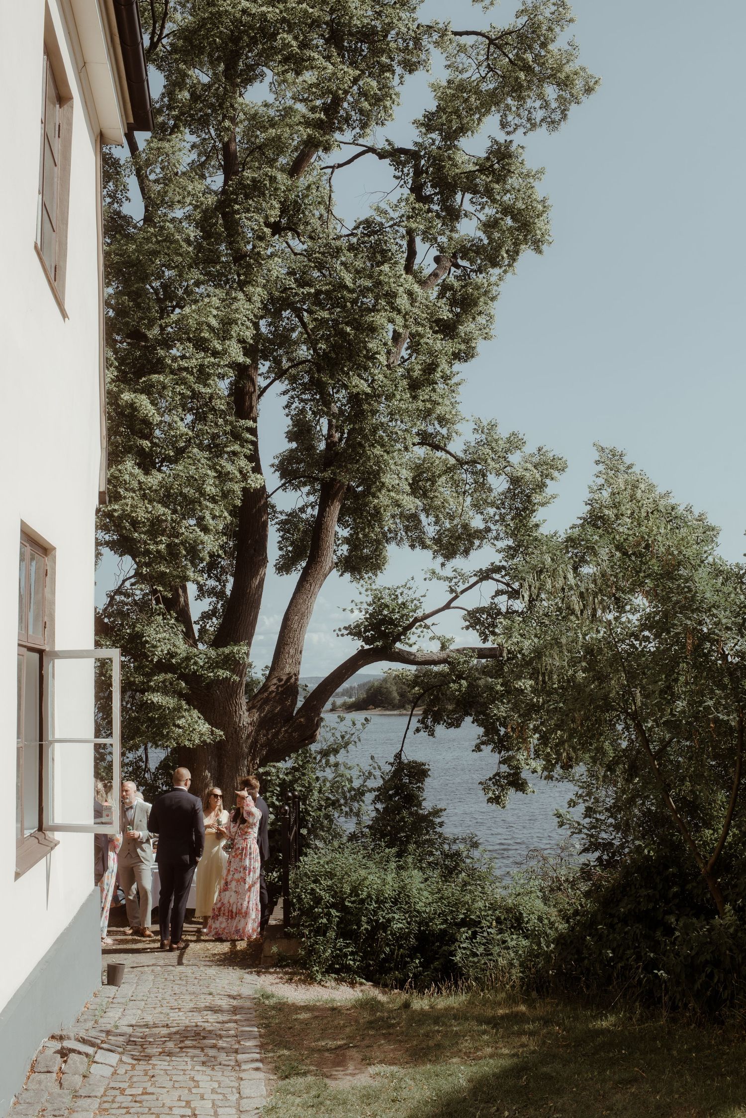 Wedding guests gather under large tree outside white building with water view.