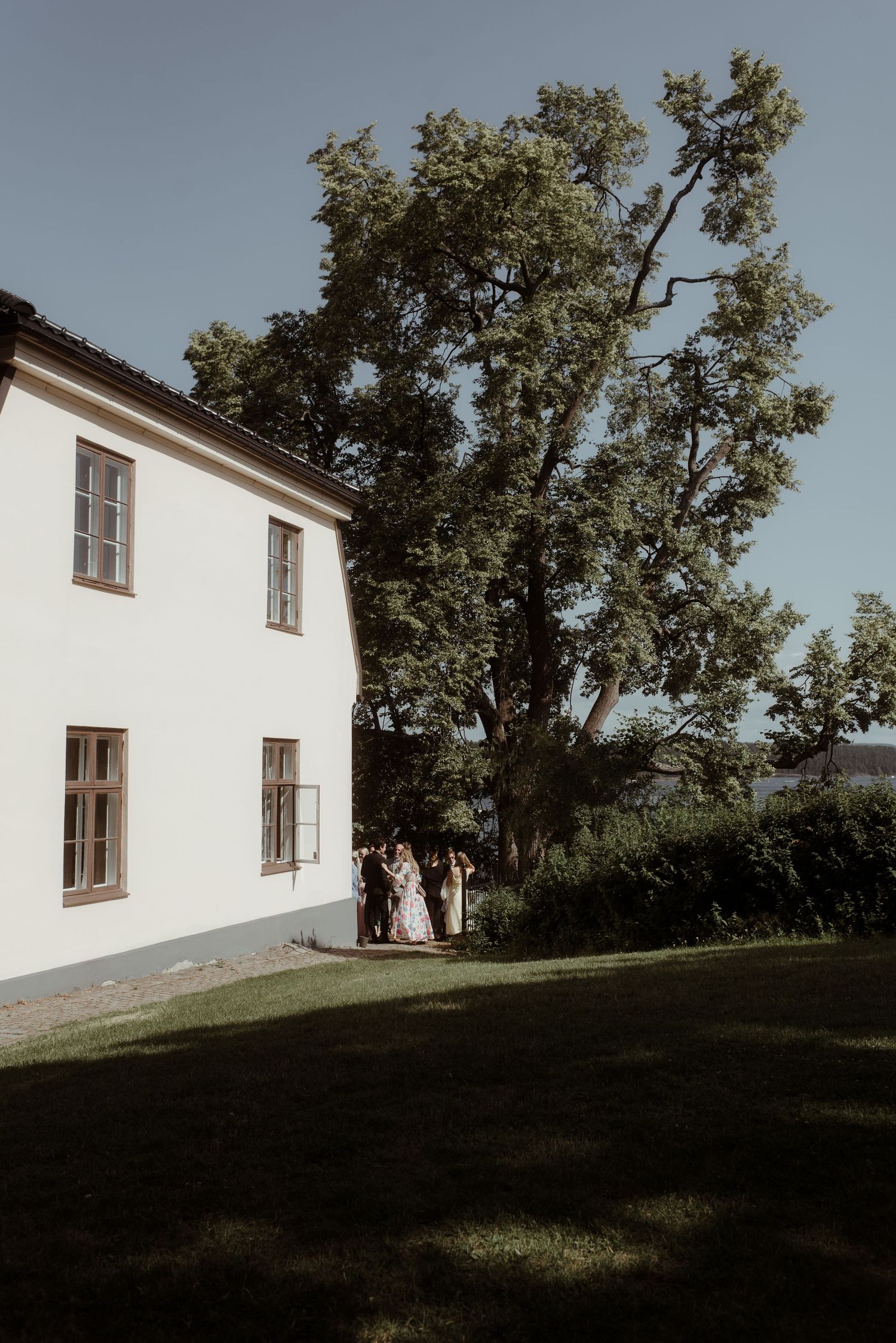 A white country house with large windows and a tall tree casting shadows in late afternoon light.