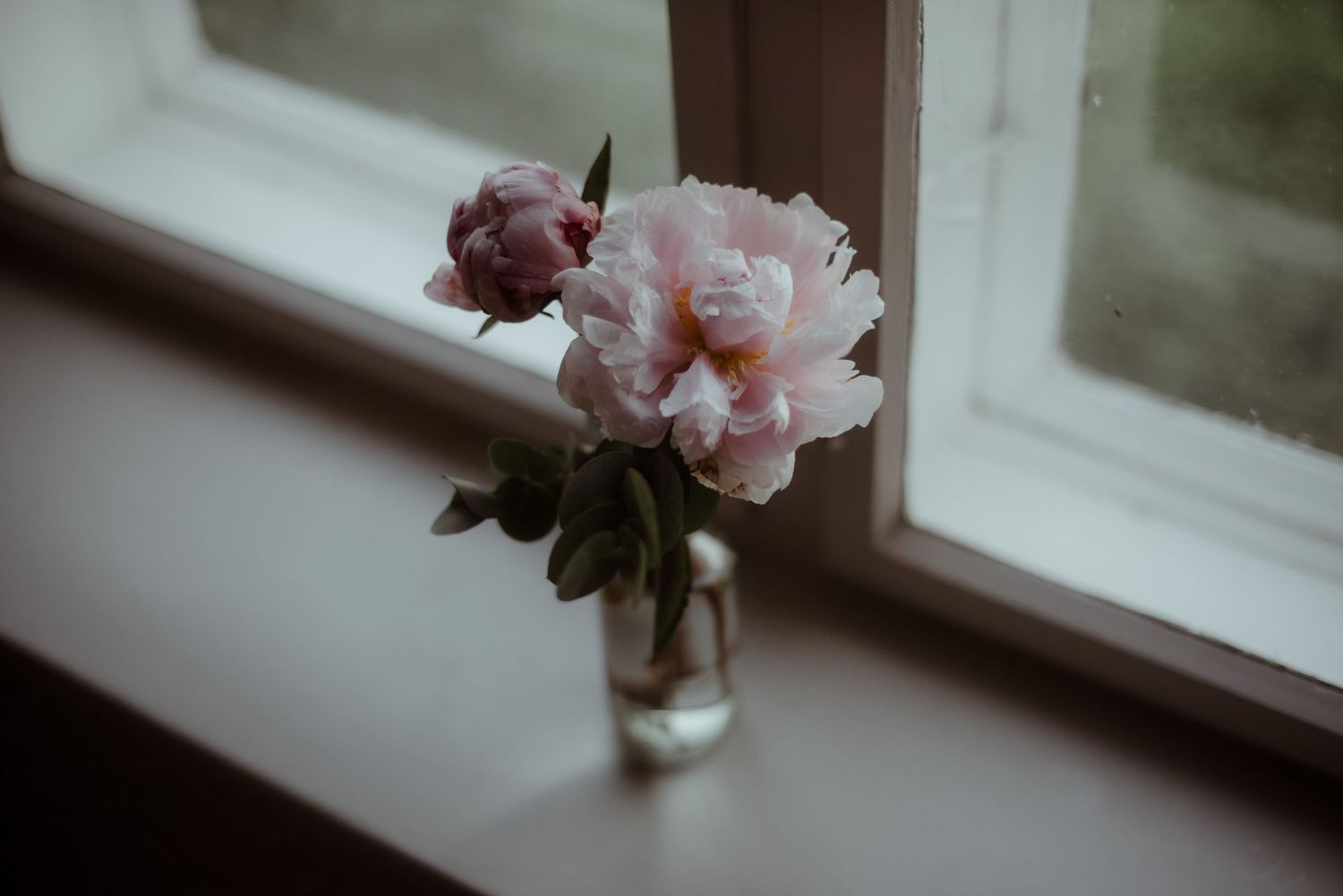 A delicate pink peony flower in a glass vase sits on a windowsill.