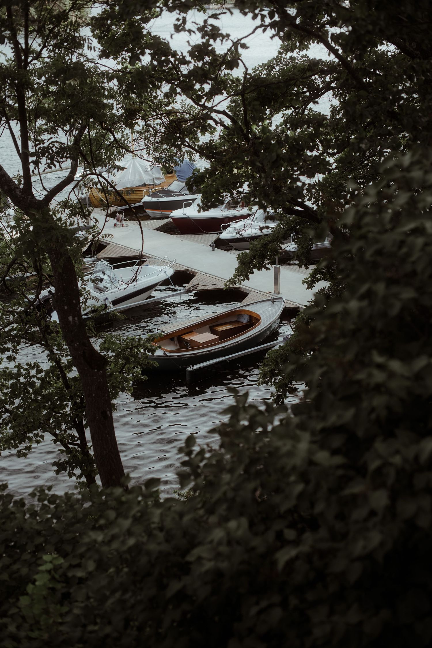 Several wooden boats moored at a dock viewed through tree branches on a moody day.