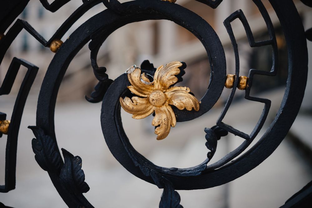 Ornate black metal gate with gold floral accent detail shown in close-up architectural photography.