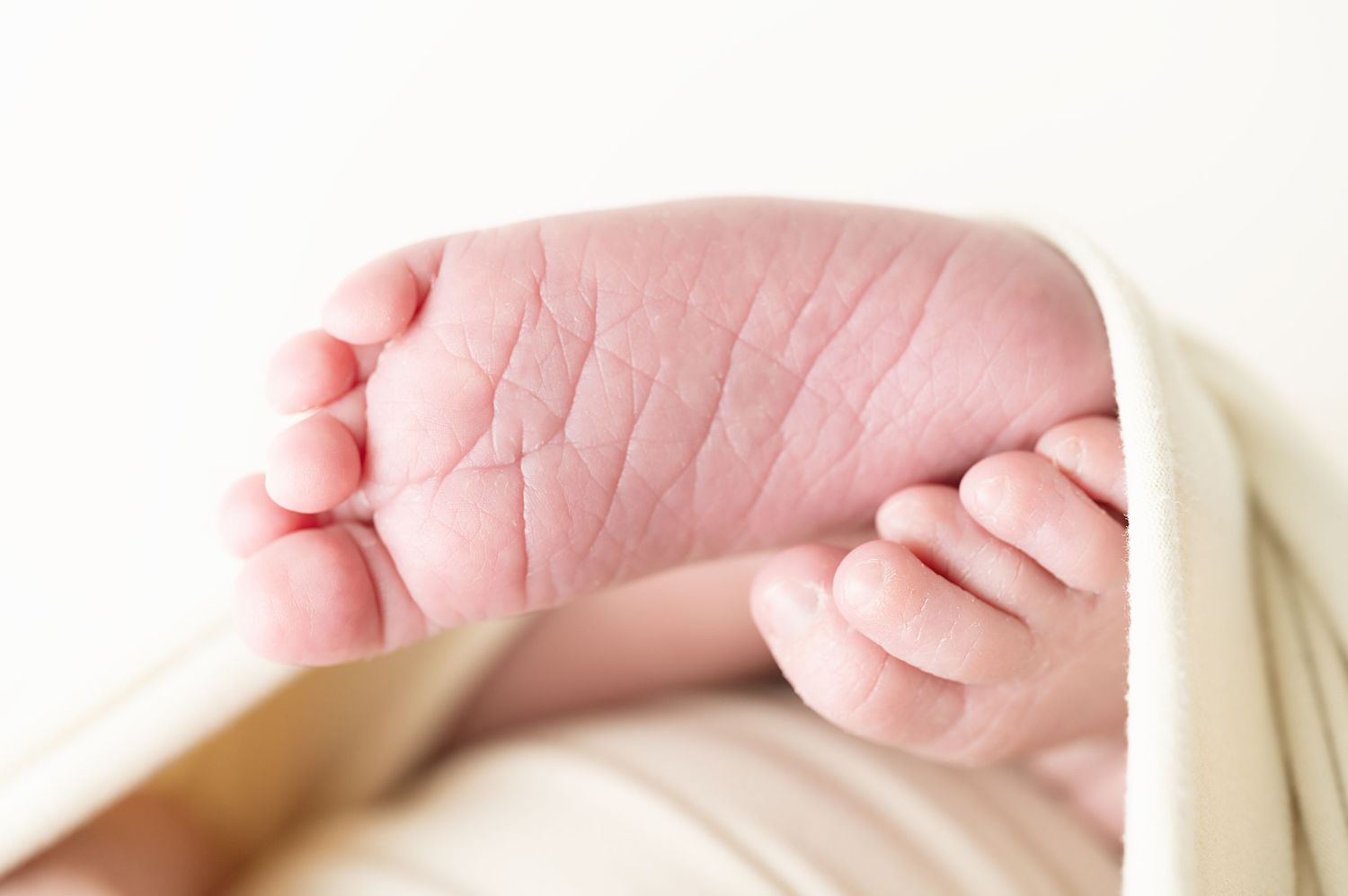 Closeup of newborn baby feet wrapped in soft white blanket.