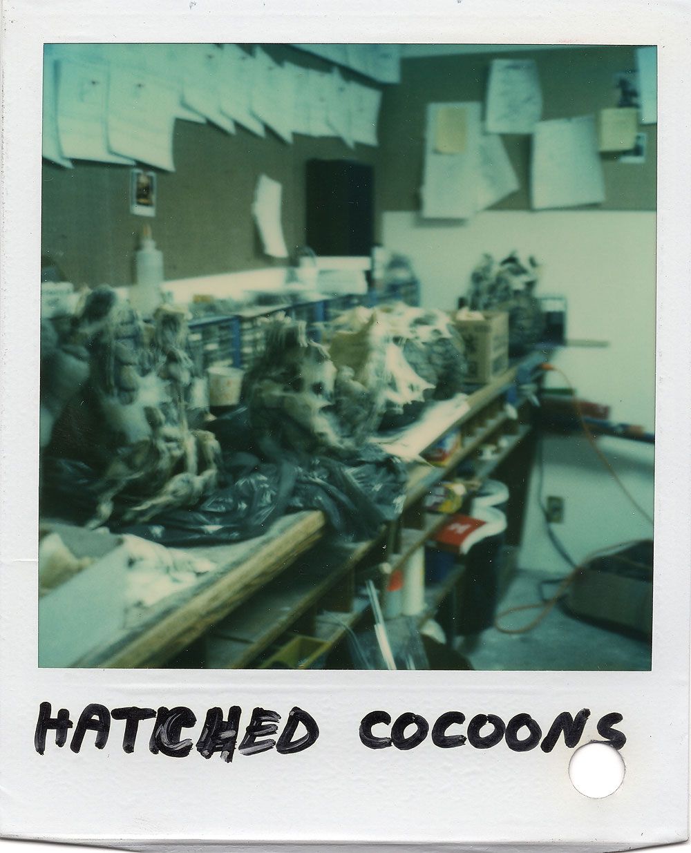 Gremlin coccoons