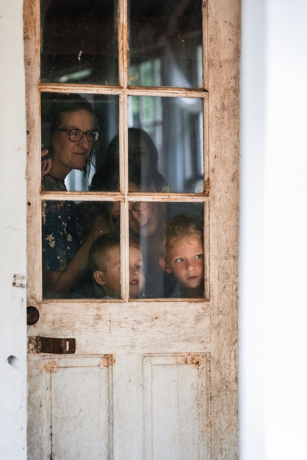 Looking through weathered windowpanes of a rustic white door, peeking out with curiosity.